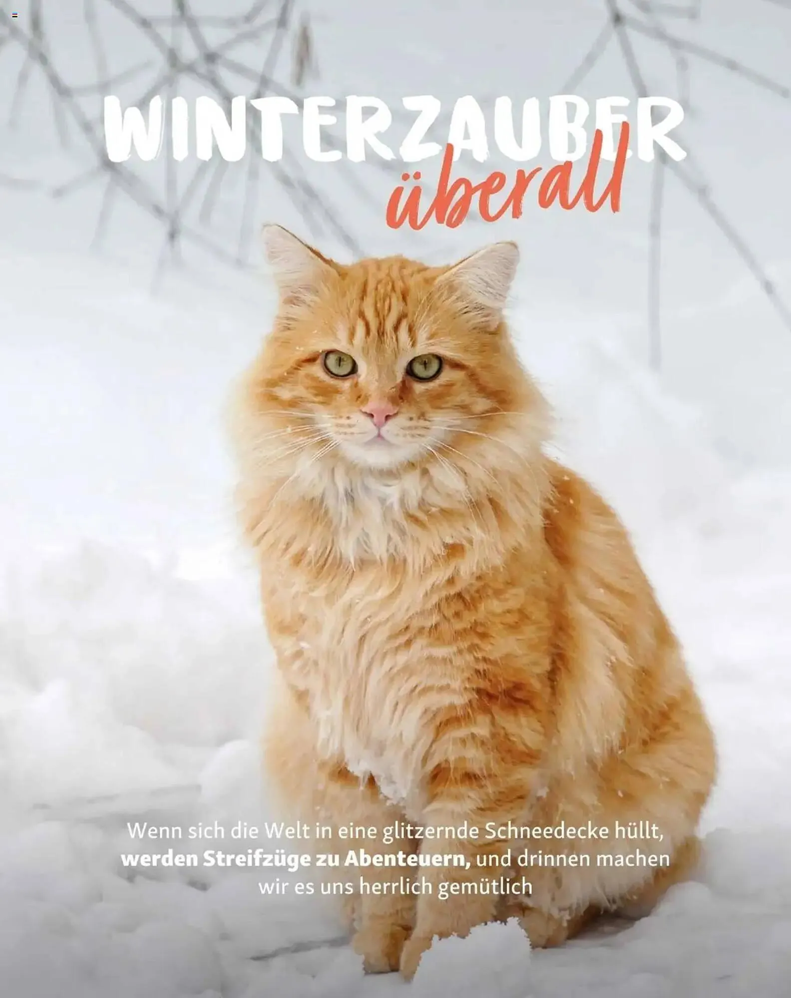 Fressnapf Flugblatt von 2. Jänner bis 2. März 2025 - Flugblätt seite 10