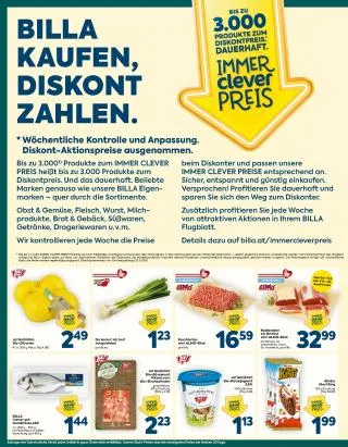 BILLA Flugblatt von 15. Oktober bis 21. Oktober 2026 - Flugblätt seite  2
