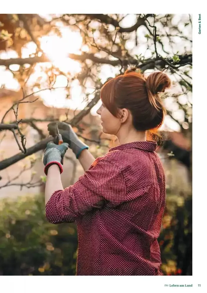 Nr. 1 - Lagerhaus Magazin 2025 von 28. Jänner bis 11. Februar 2025 - Flugblätt seite  11