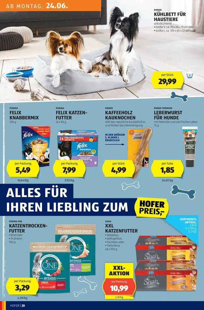 Blättern Sie online im HOFER Flugblatt von 19. Juni bis 3. Juli 2024 - Flugblätt seite  24