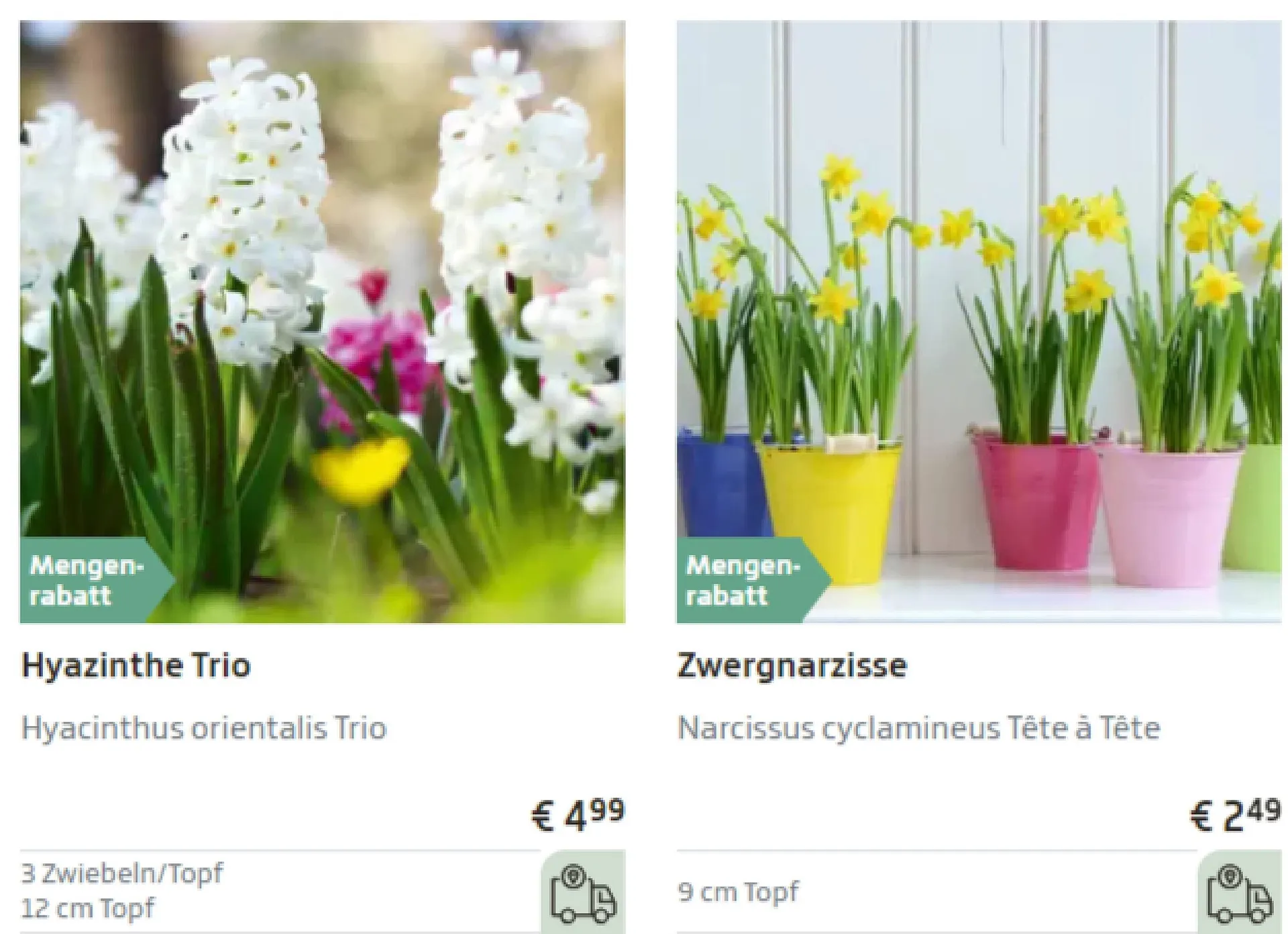 Starkl Flugblatt von 20. Februar bis 26. Februar 2024 - Flugblätt seite  