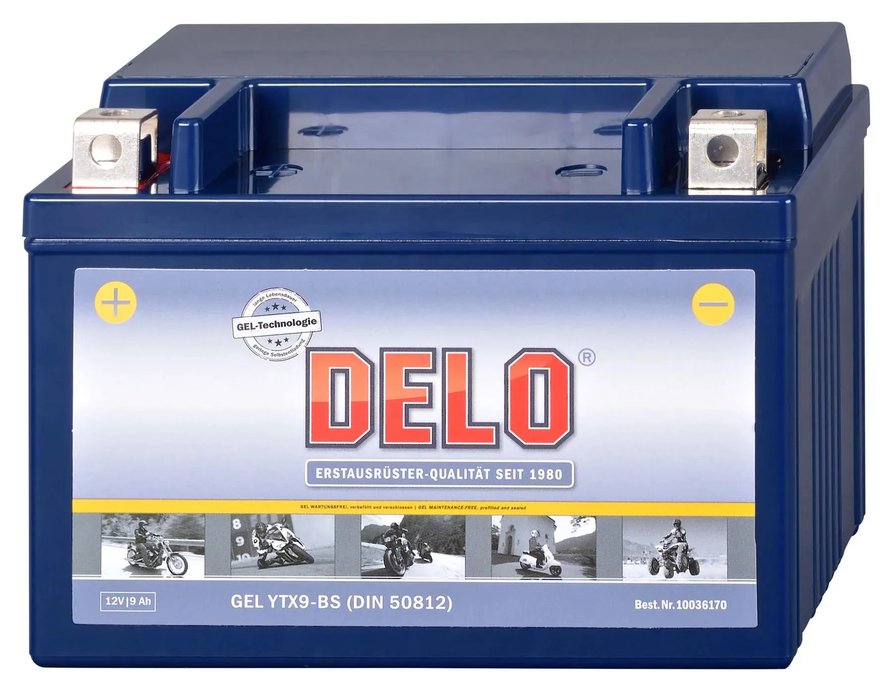 DELO Gel Batterie