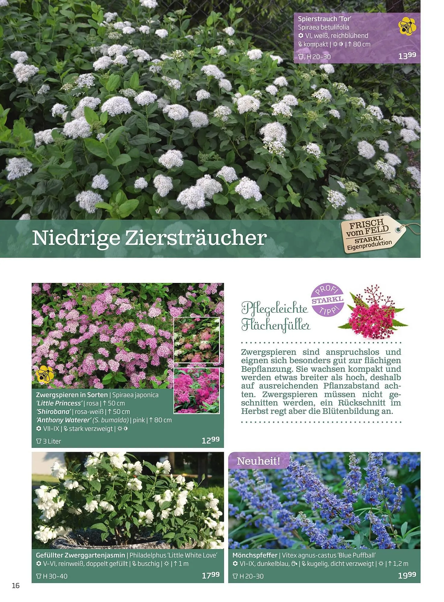 Starkl Flugblatt von 1. April bis 31. Dezember 2024 - Flugblätt seite  16