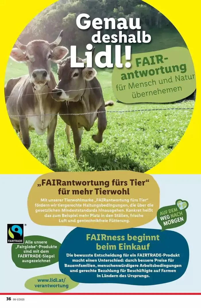 Tolles Angebot für alle Kunden von 30. Jänner bis 5. Februar 2025 - Flugblätt seite 40