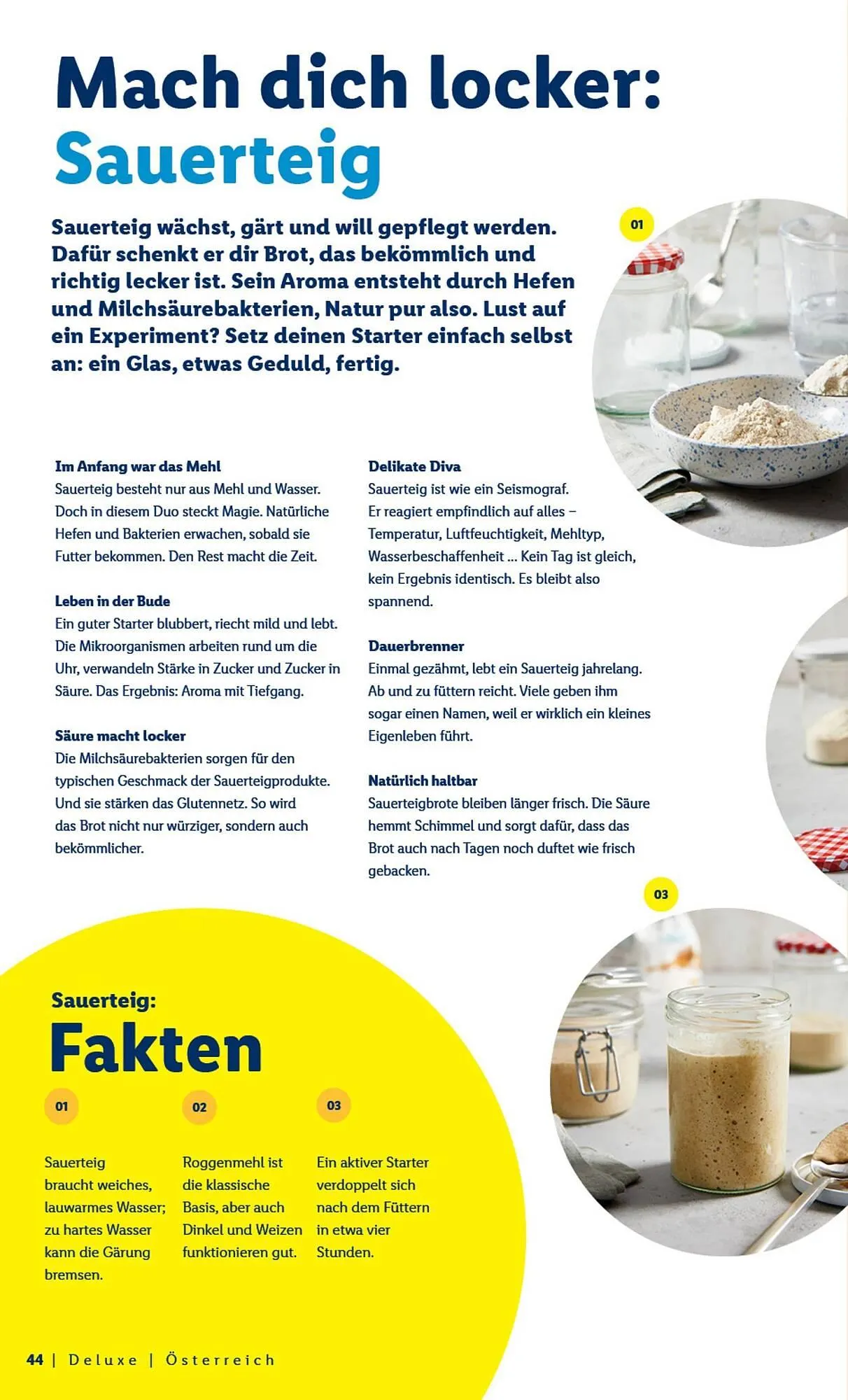 Lidl Flugblatt von 1. März bis 5. April 2026 - Flugblätt seite  44