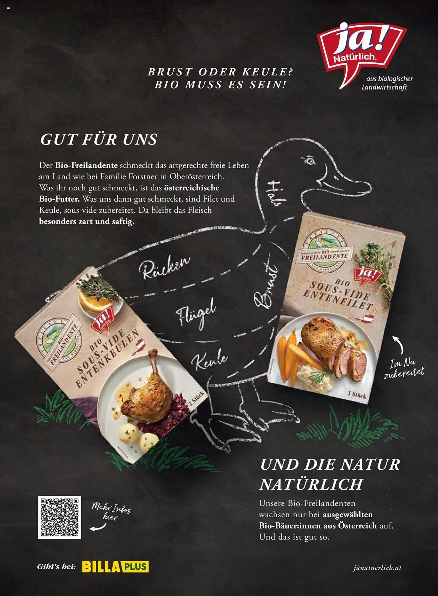 Billa Flugblatt von 1. Dezember bis 31. Dezember 2023 - Flugblätt seite  110