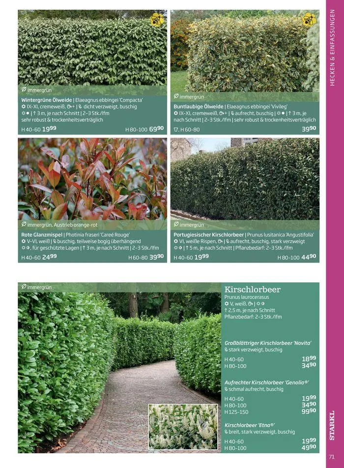 Gartencenter Jahreskatalog 2024 von 20. Mai bis 31. Dezember 2024 - Flugblätt seite 71