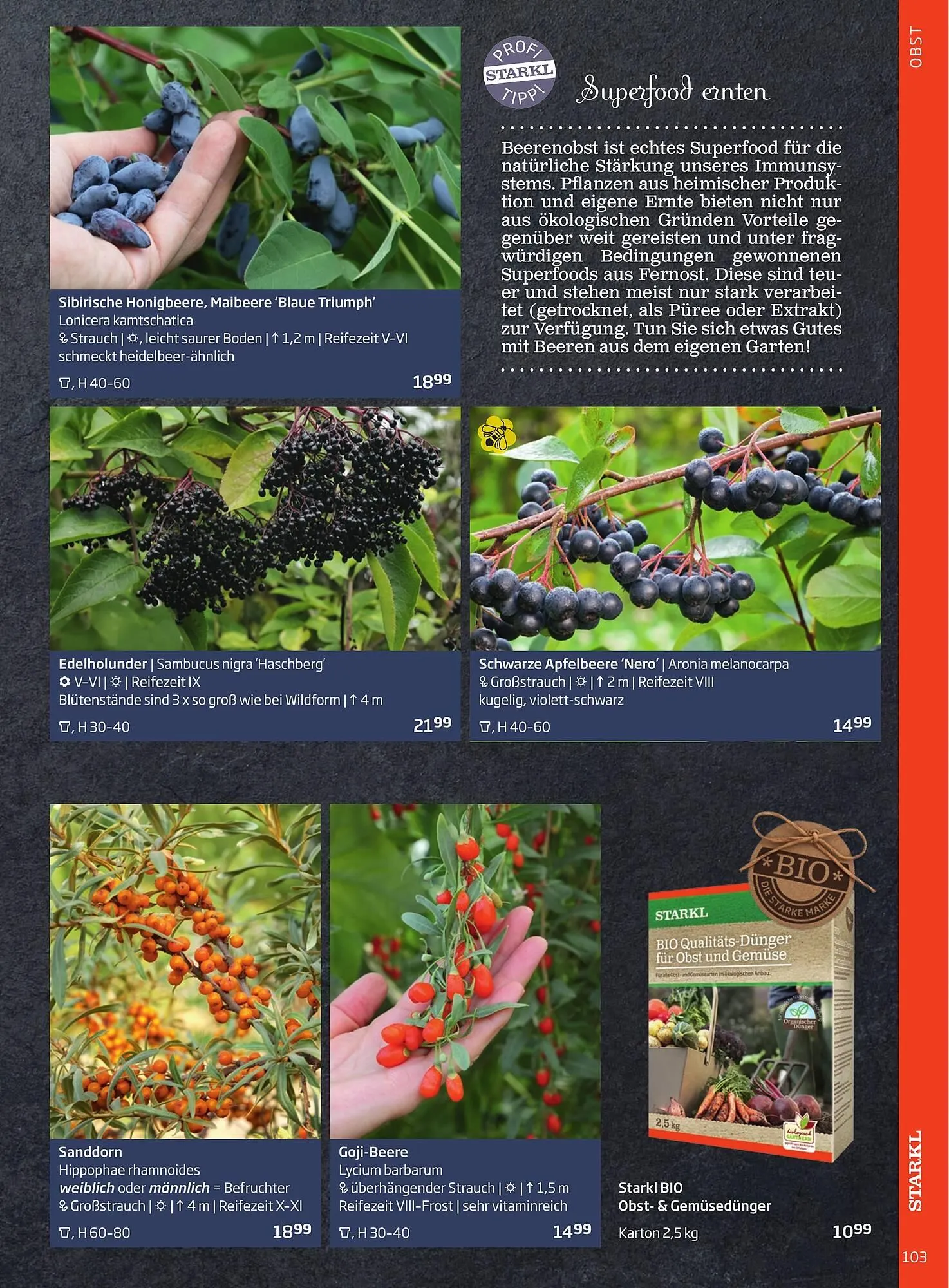 Starkl Flugblatt von 6. Juni bis 31. Dezember 2025 - Flugblätt seite  103
