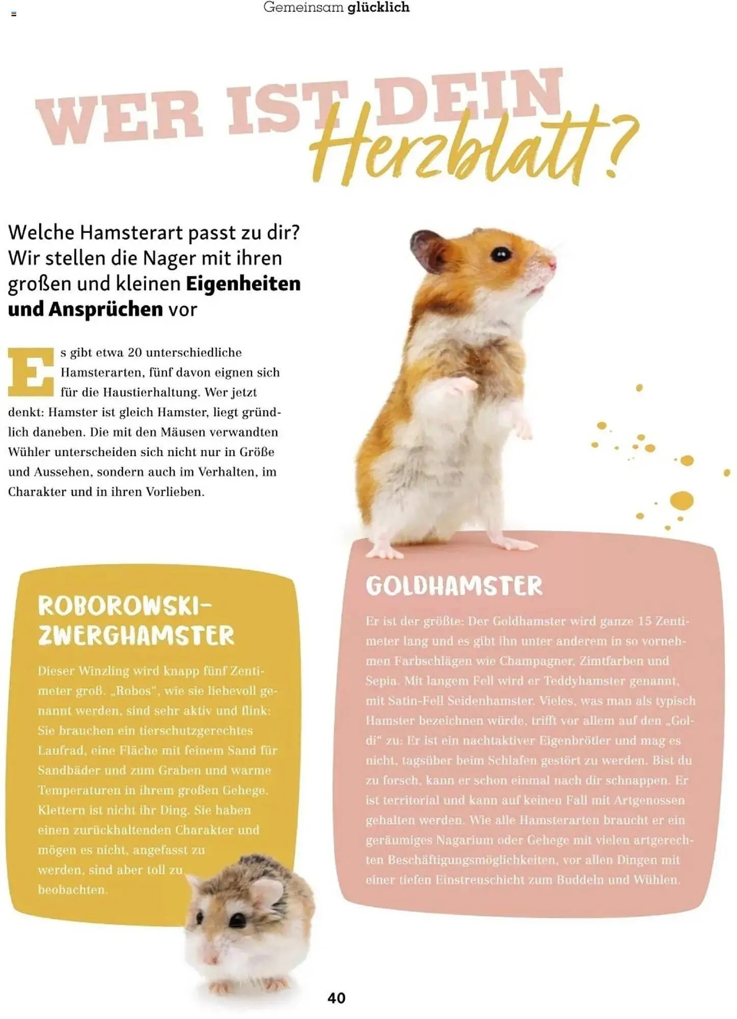 Fressnapf Flugblatt von 2. Jänner bis 2. März 2025 - Flugblätt seite 40