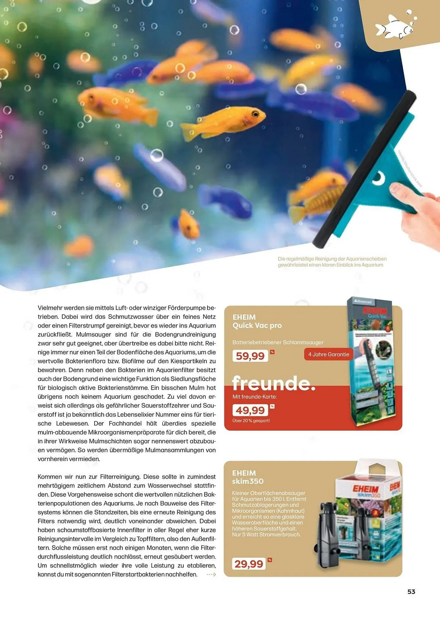 ZOO & Co Flugblatt von 30. August bis 8. November 2024 - Flugblätt seite 53