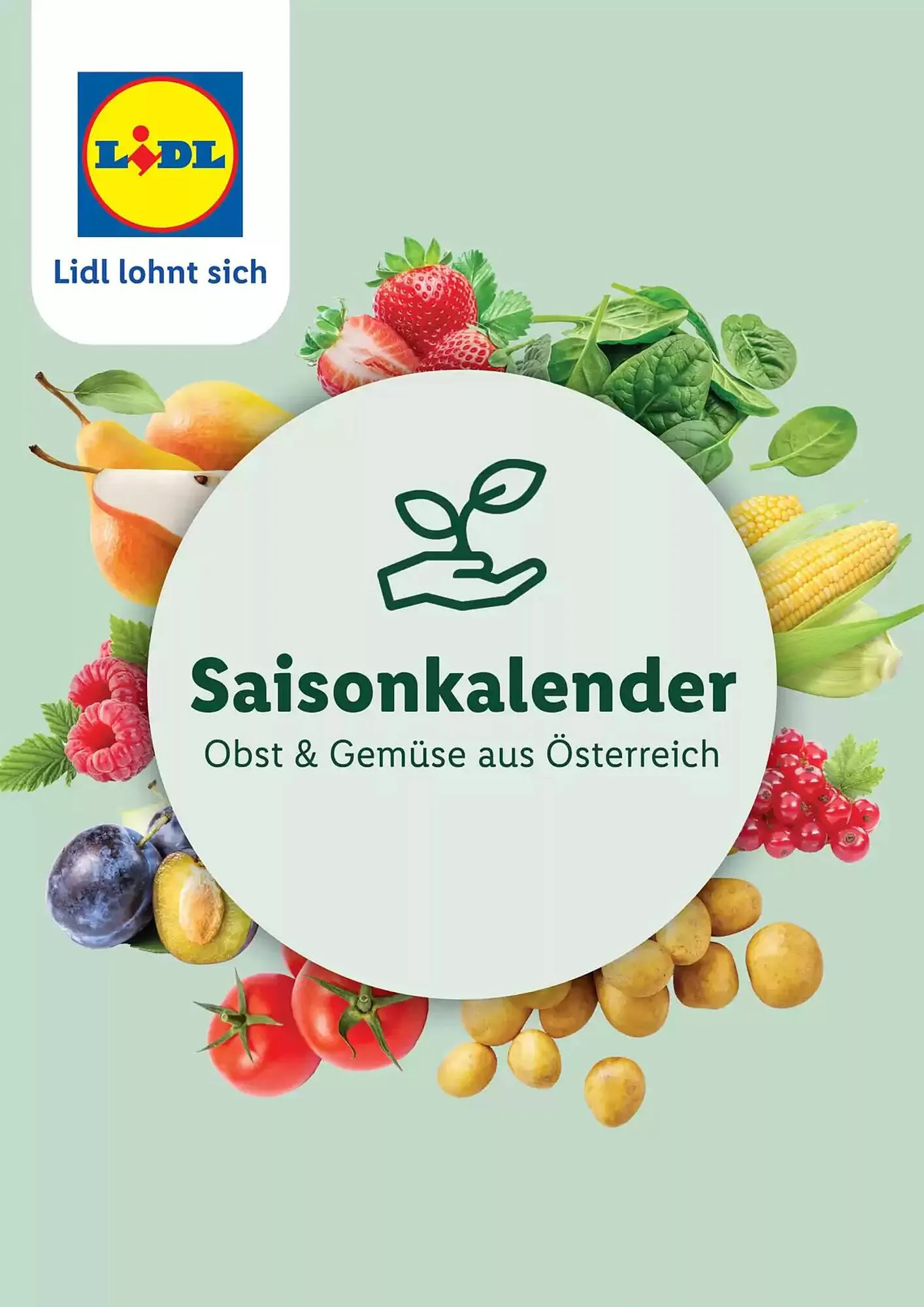 Lidl Flugblatt - 1