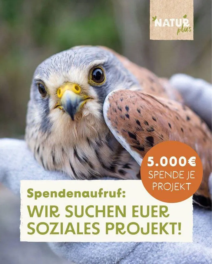 Das Futterhaus flugblatt - 1