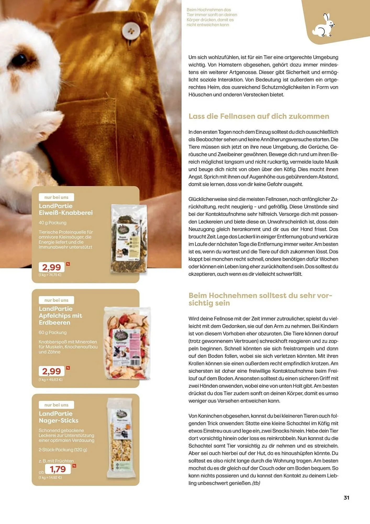 ZOO & Co Flugblatt von 30. August bis 8. November 2024 - Flugblätt seite 31