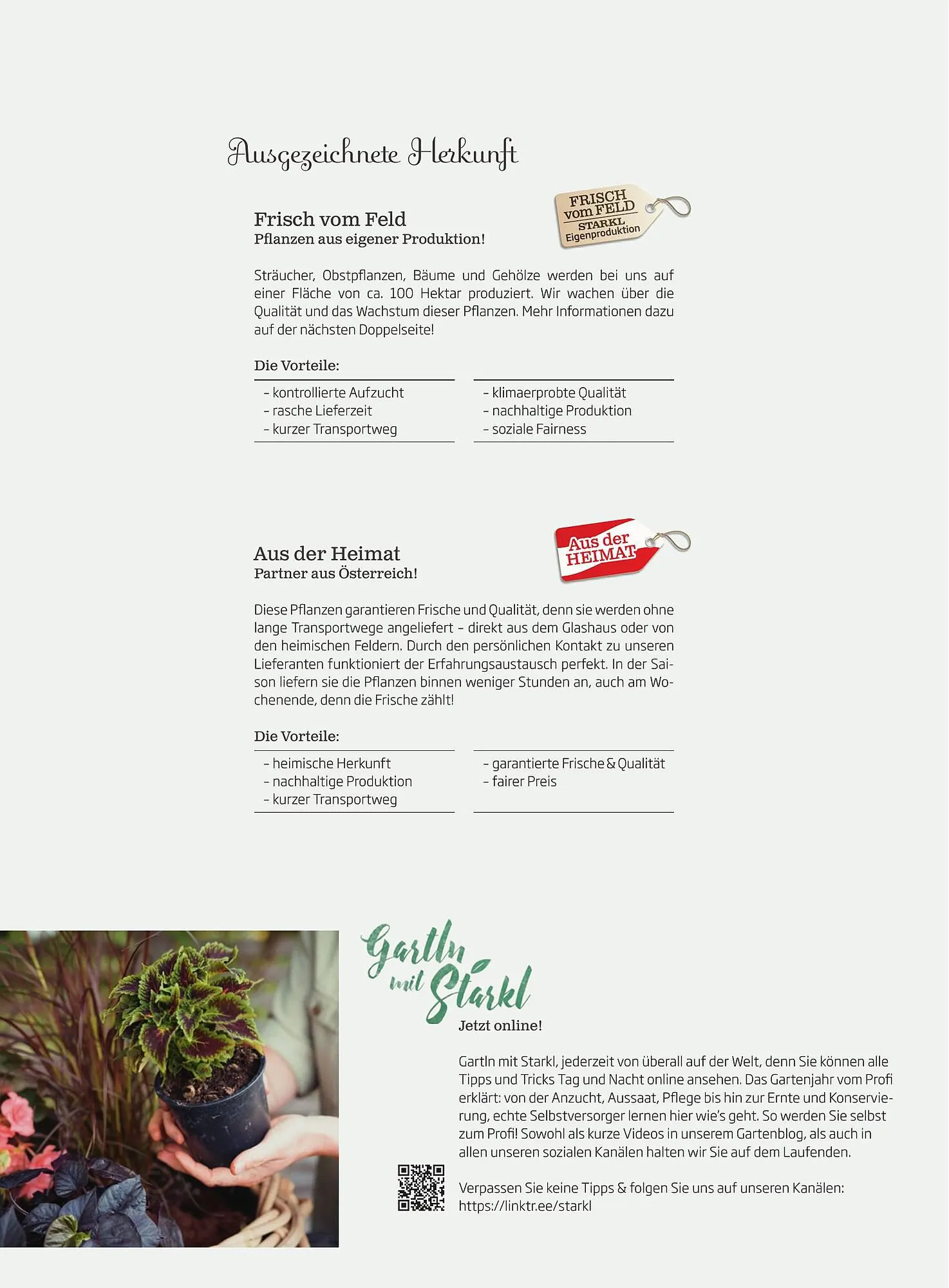 Starkl Flugblatt von 1. April bis 31. Dezember 2024 - Flugblätt seite 2