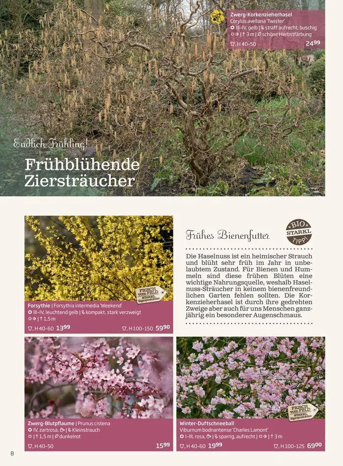 Gartencenter Jahreskatalog 2024 von 20. Mai bis 31. Dezember 2024 - Flugblätt seite  8