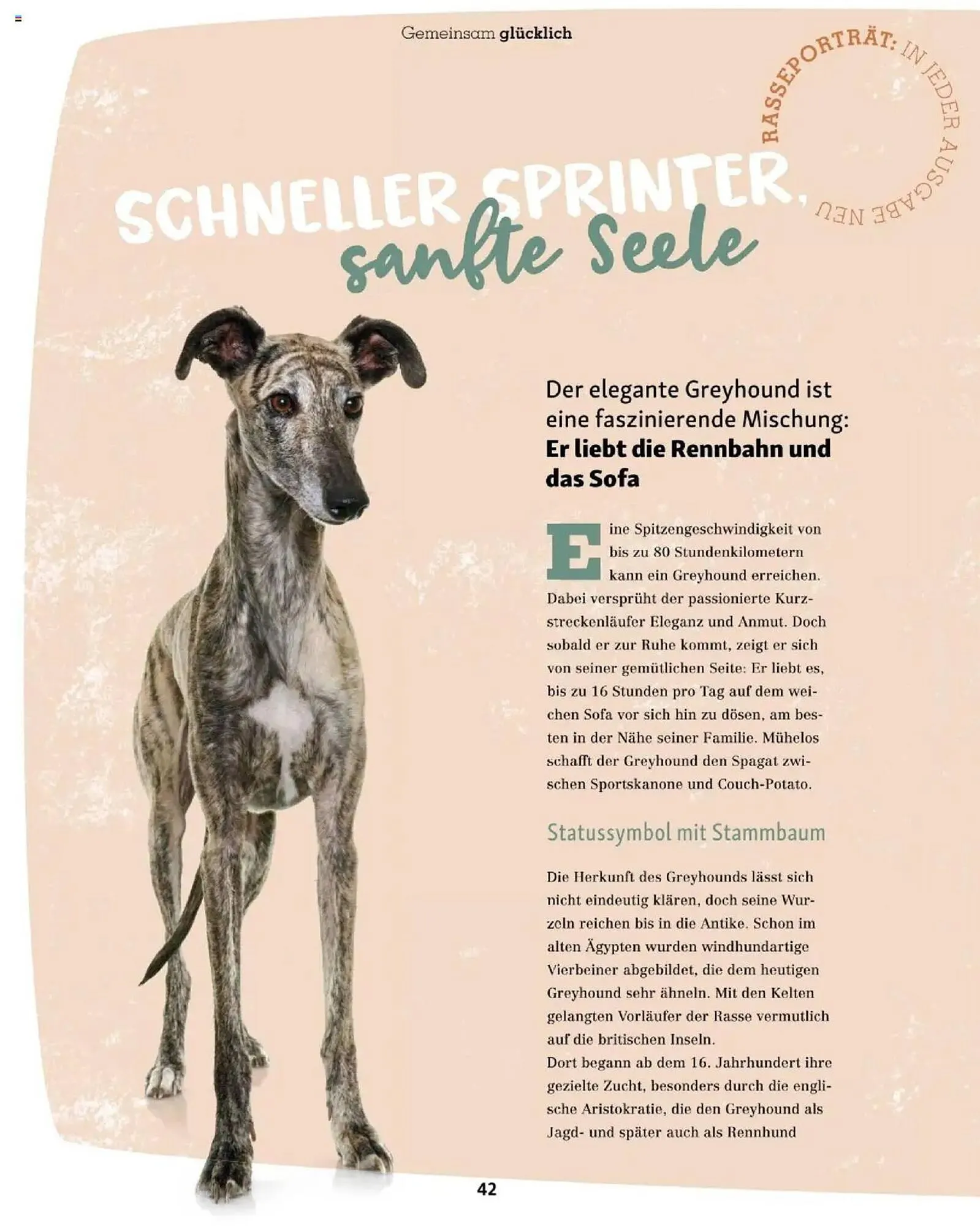 Fressnapf Flugblatt von 1. September bis 31. Oktober 2025 - Flugblätt seite  42