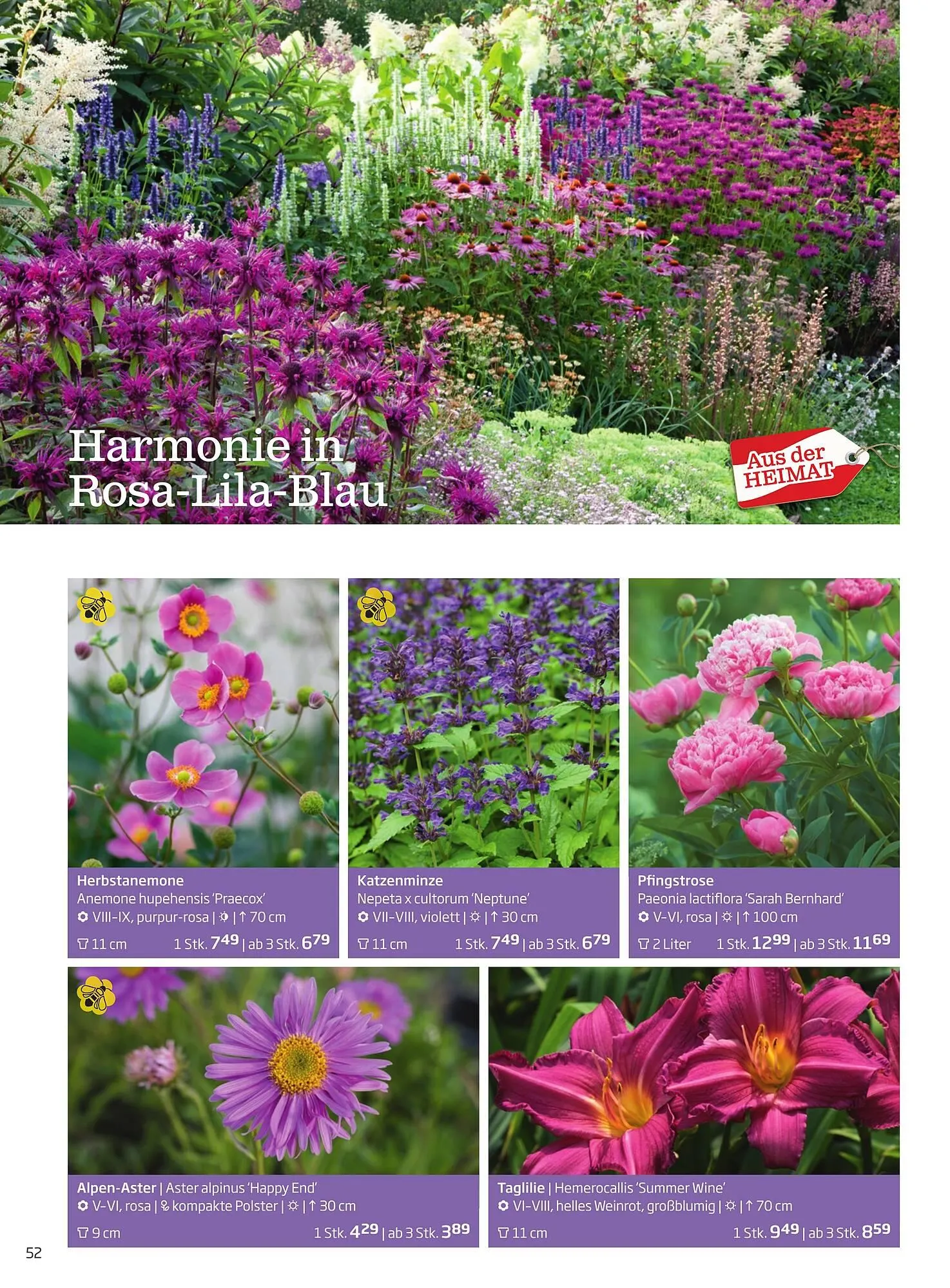 Starkl Flugblatt von 6. Juni bis 31. Dezember 2025 - Flugblätt seite 52