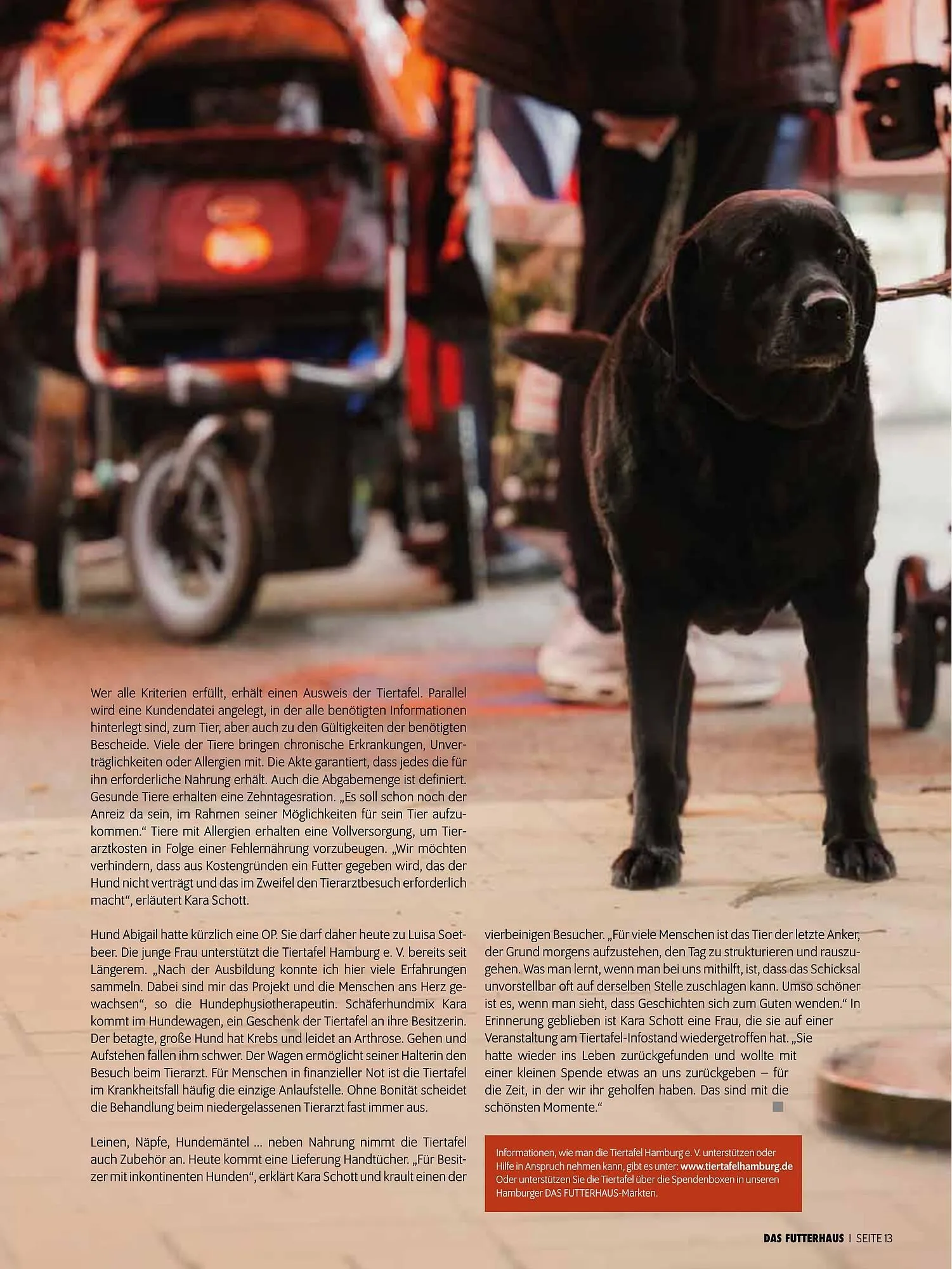 Das Futterhaus Prospekt von 17. Dezember bis 6. Jänner 2026 - Flugblätt seite  13