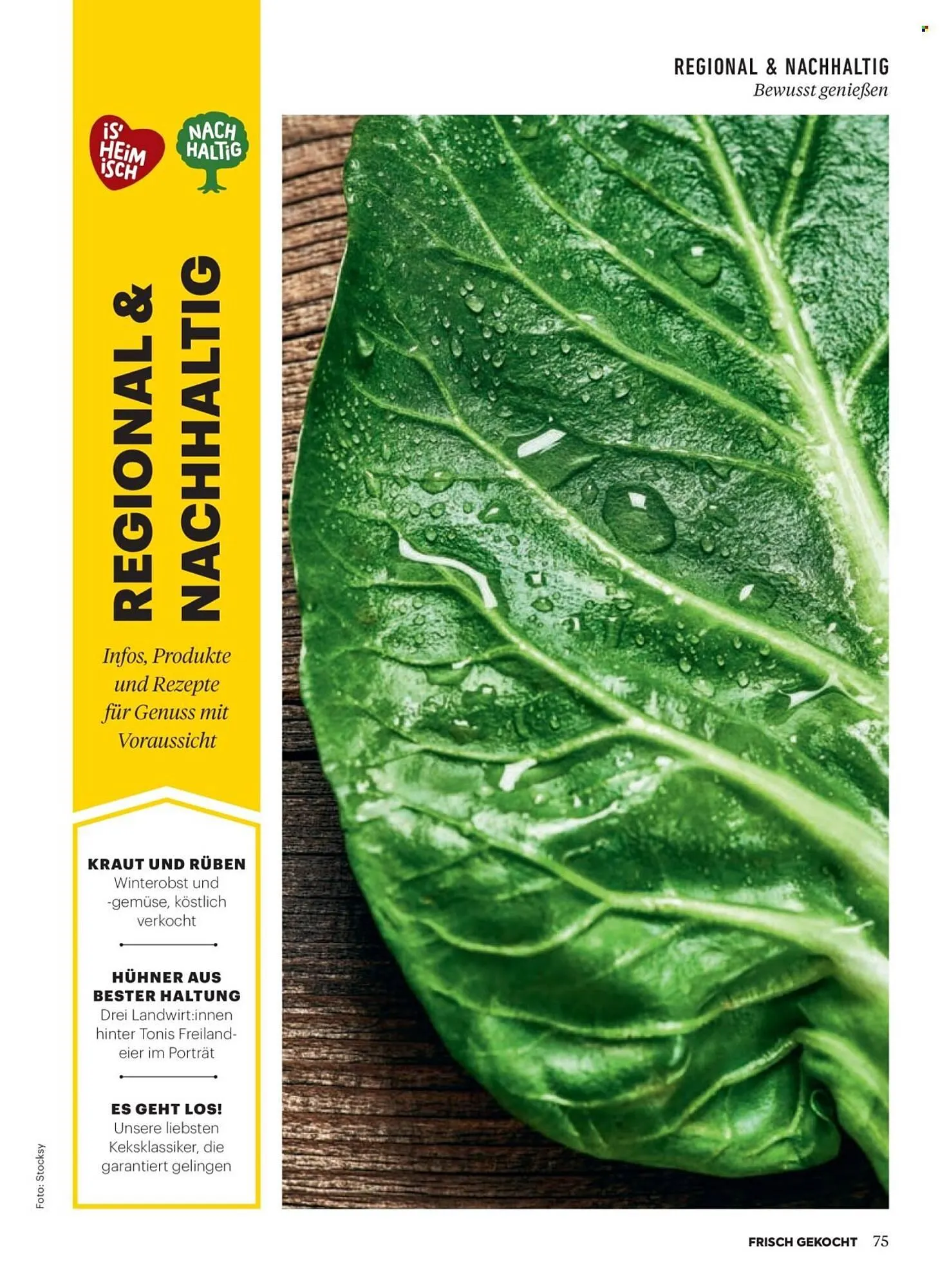 Billa Flugblatt von 1. November bis 30. November 2025 - Flugblätt seite 71