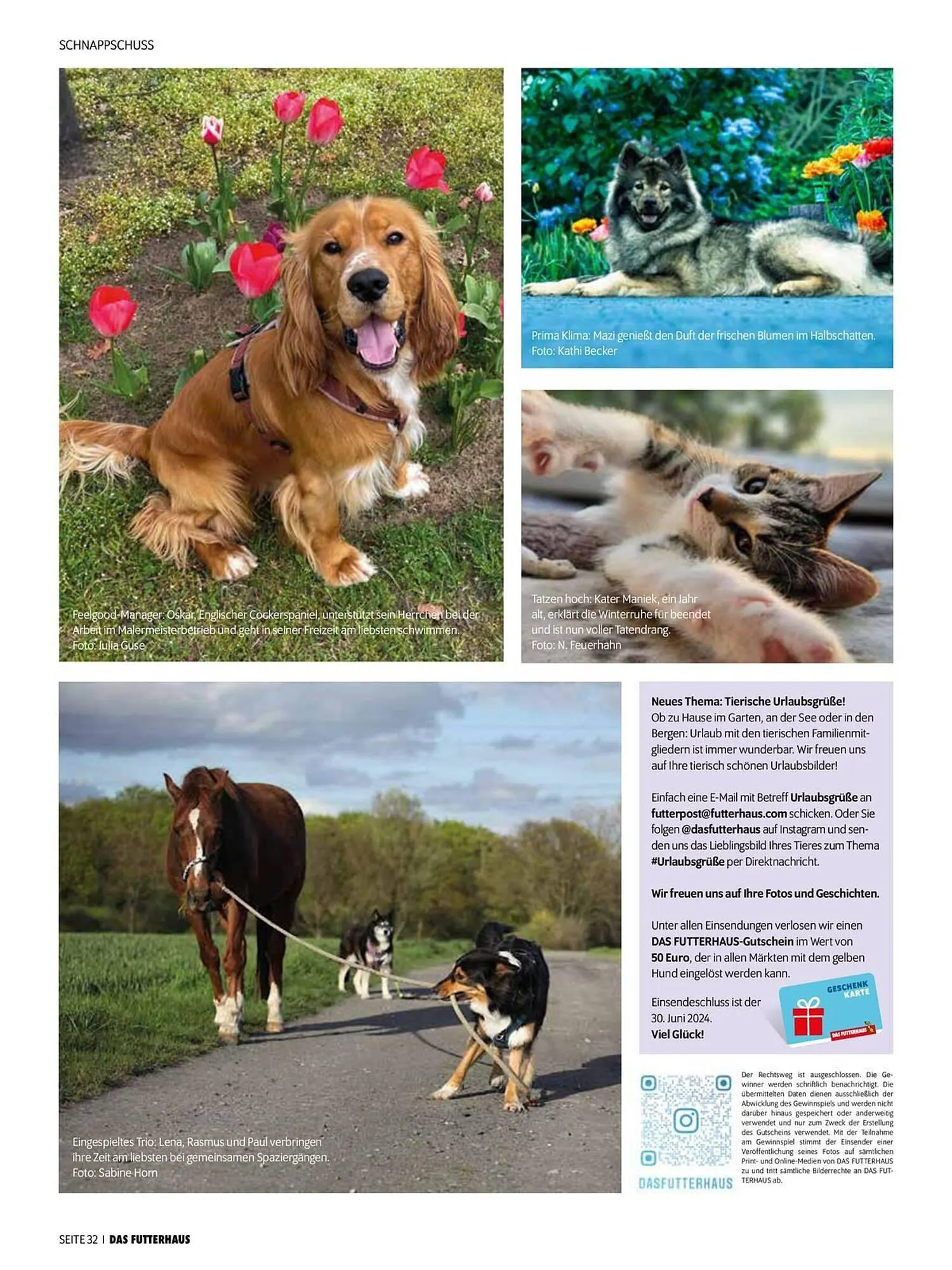 Das Futterhaus Flugblatt von 31. Mai bis 23. Juni 2024 - Flugblätt seite 32