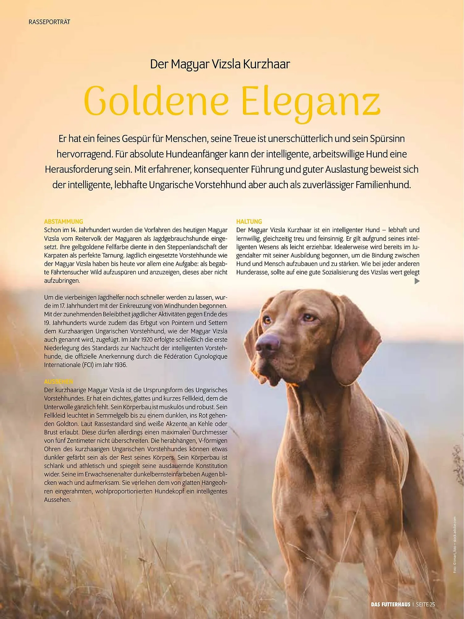 Das Futterhaus Prospekt von 17. Dezember bis 6. Jänner 2026 - Flugblätt seite 25