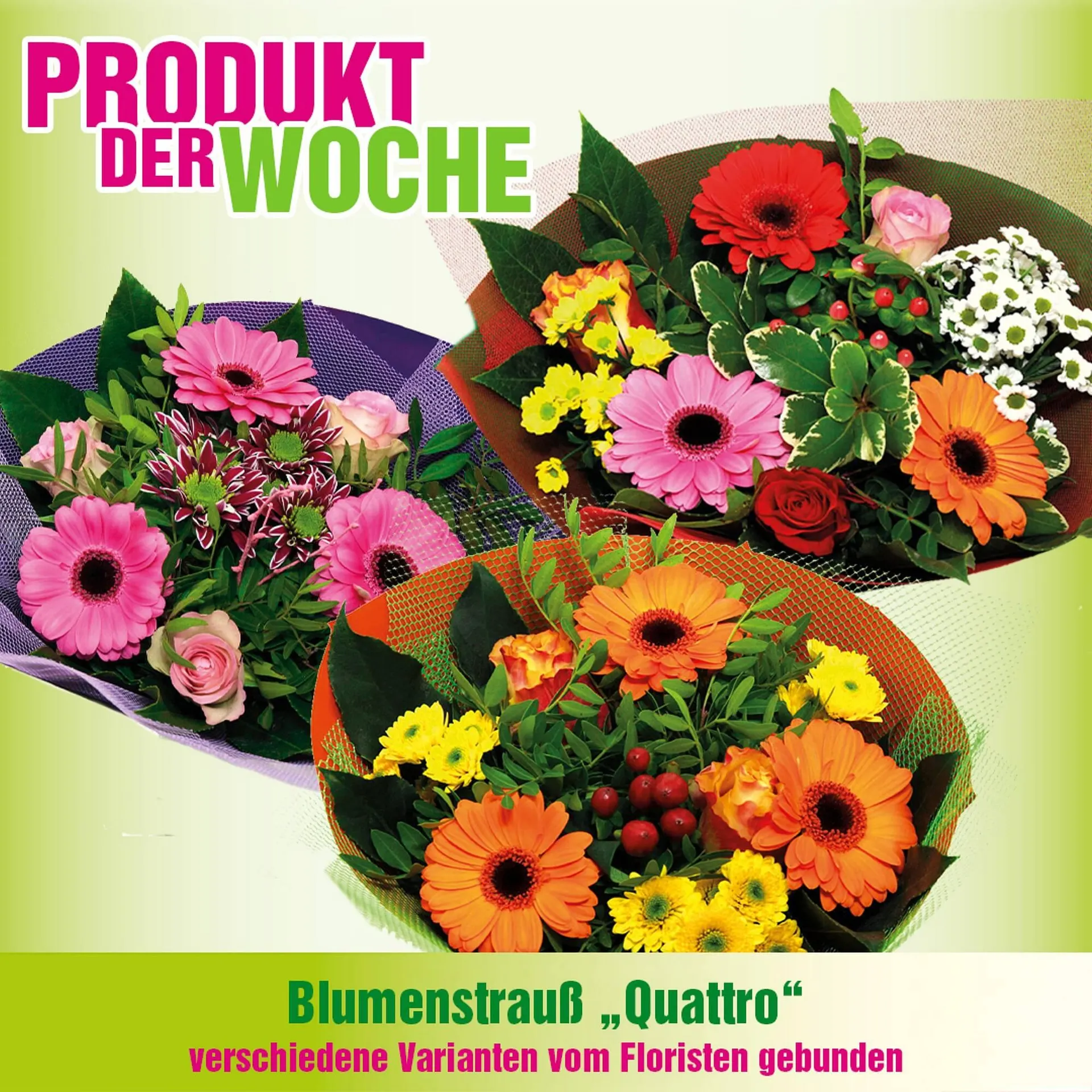 Blumen B&B Flugblatt von 13. Jänner bis 26. Jänner 2026 - Flugblätt seite  2