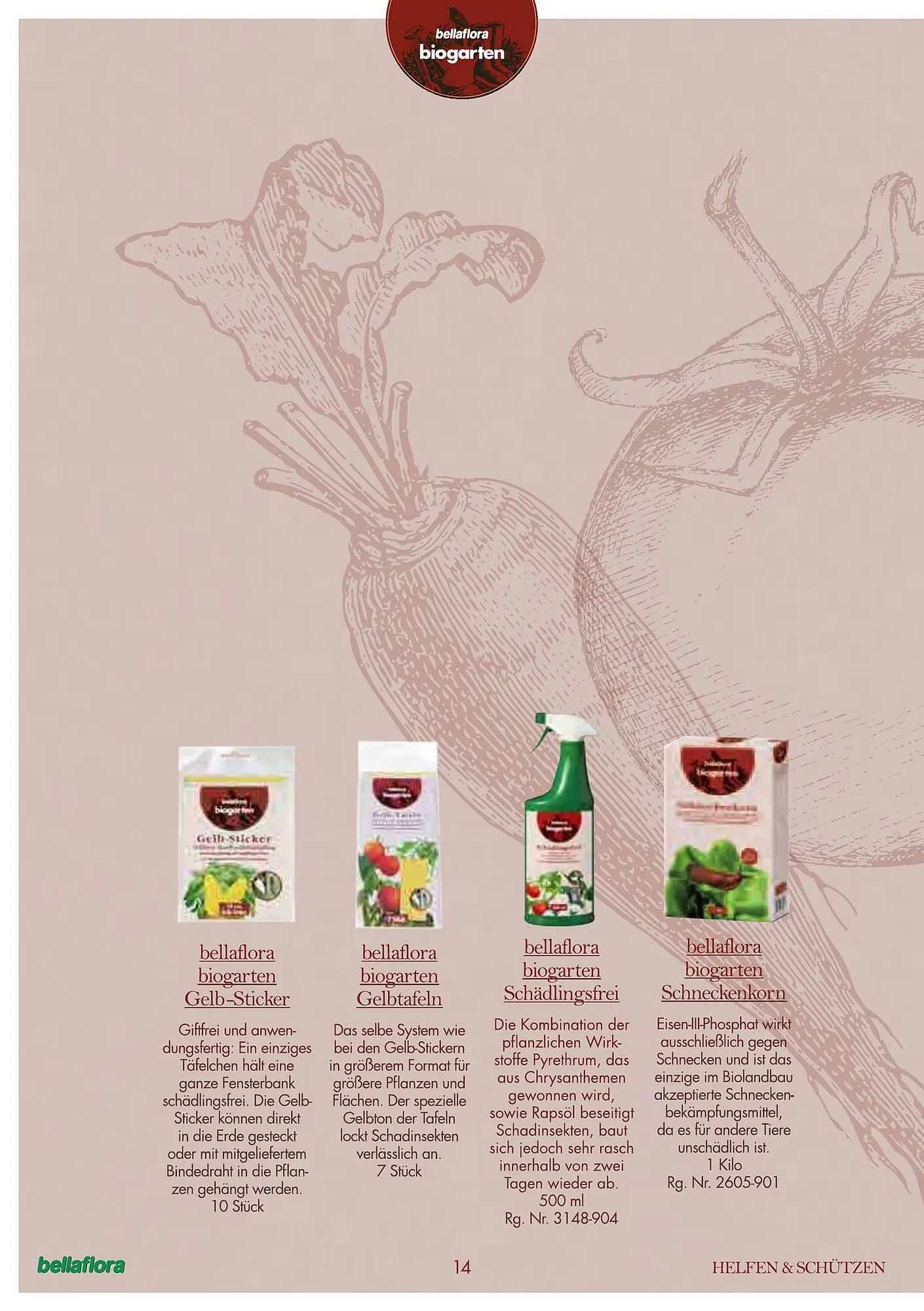 Bellaflora Flugblatt von 3. Jänner bis 31. Mai 2025 - Flugblätt seite 14