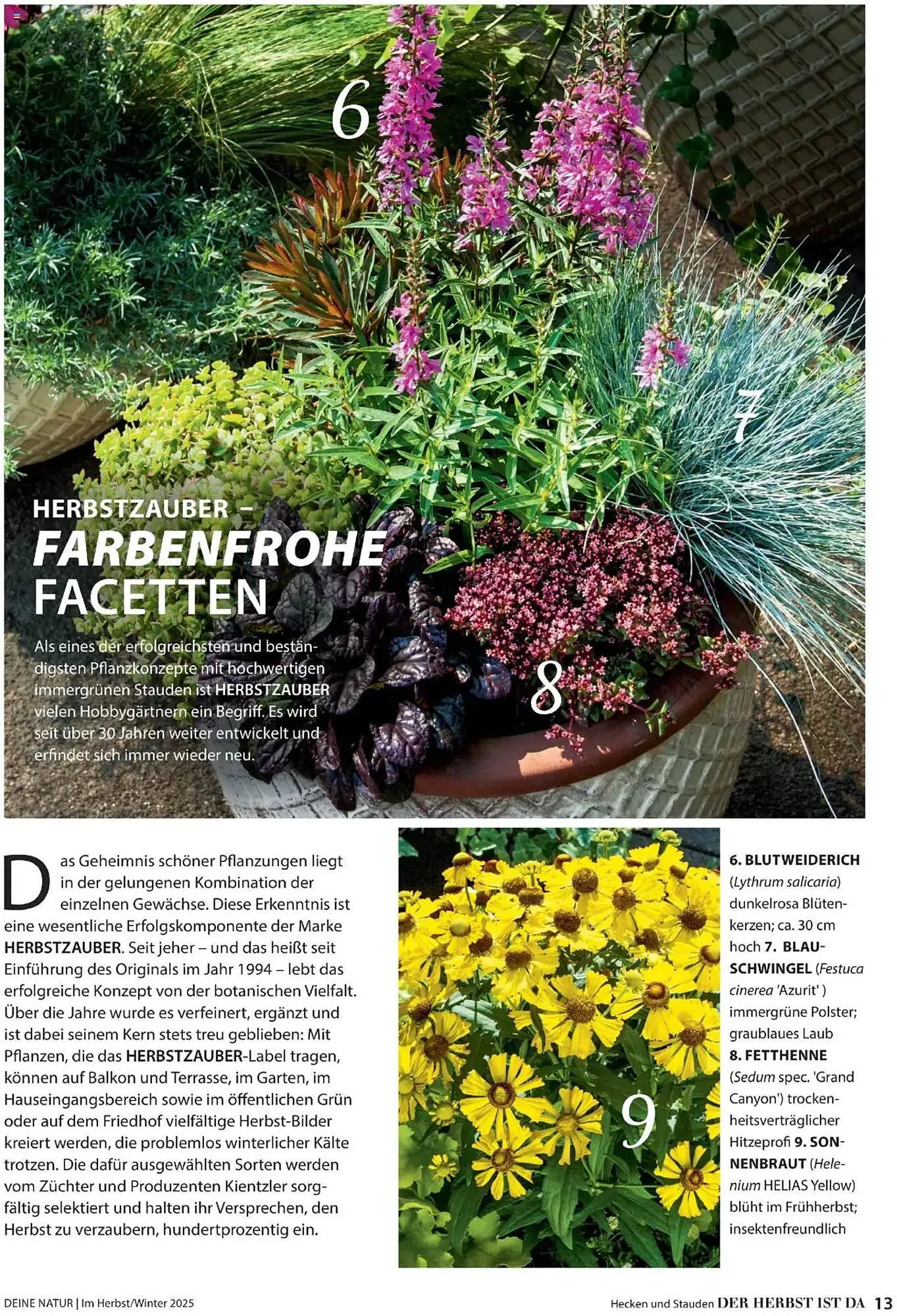 Dehner Flugblatt von 10. Oktober bis 30. November 2025 - Flugblätt seite 13