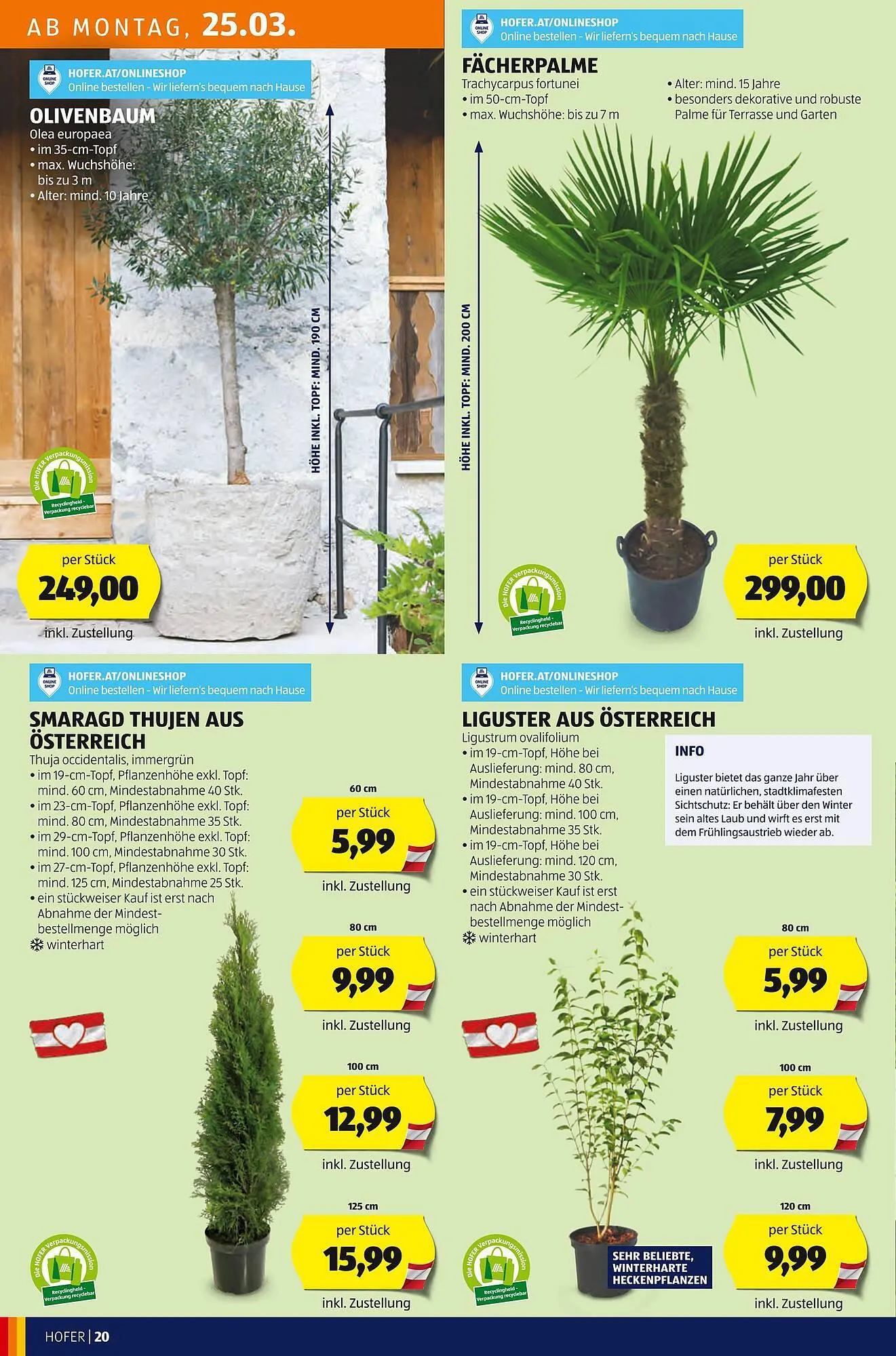 Hofer Flugblatt von 22. März bis 28. März 2024 - Flugblätt seite 22