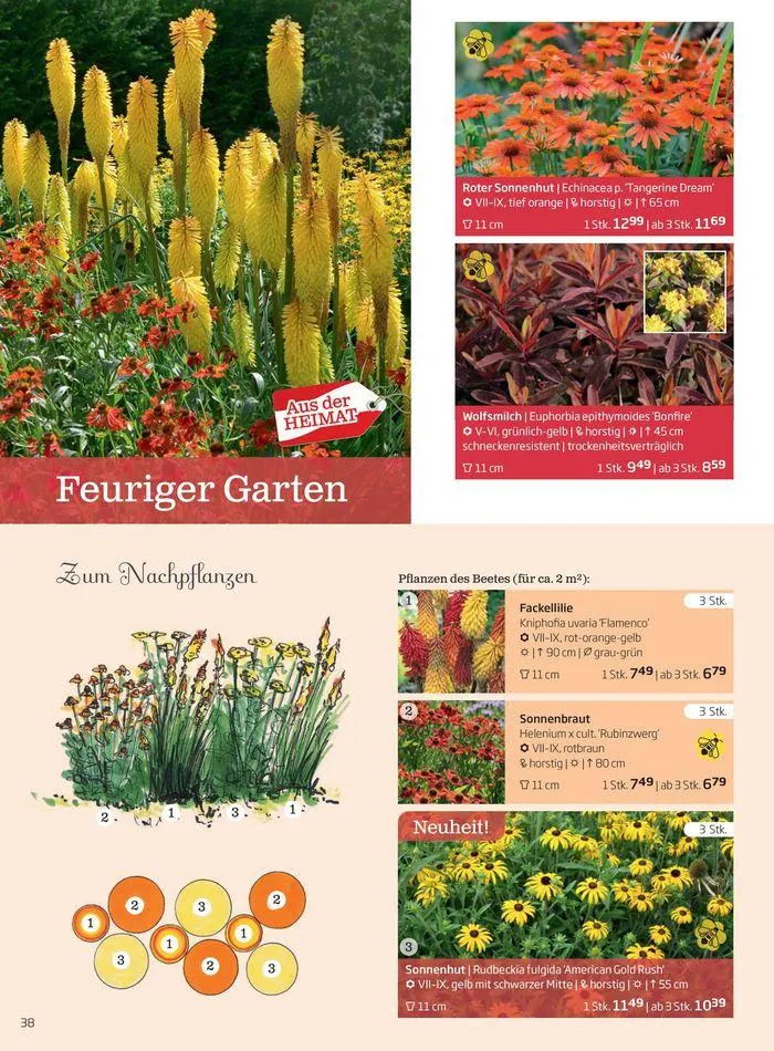 Gartencenter Jahreskatalog 2024 von 20. Mai bis 31. Dezember 2024 - Flugblätt seite  38
