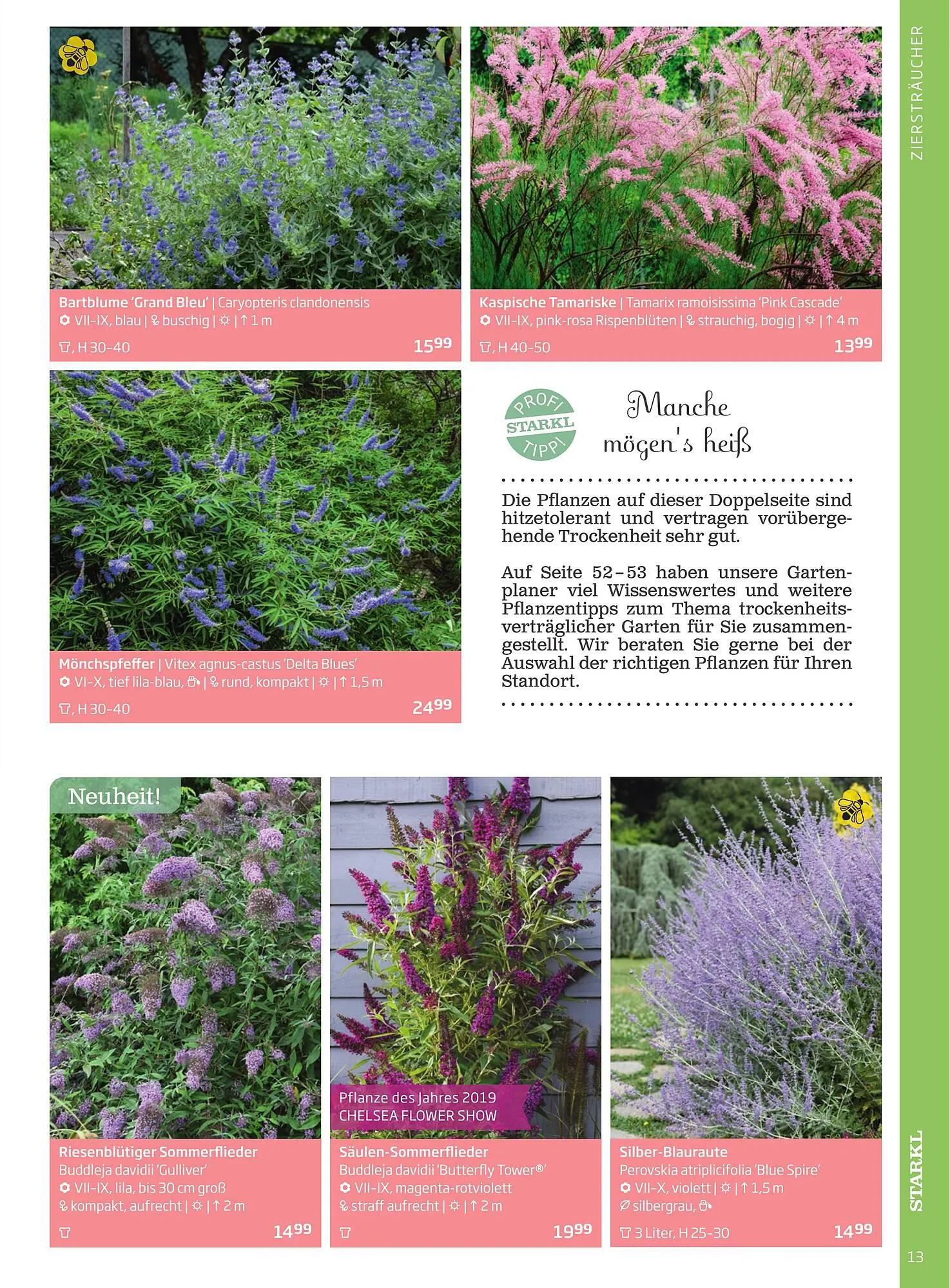 Starkl Flugblatt von 1. April bis 31. Dezember 2024 - Flugblätt seite  13