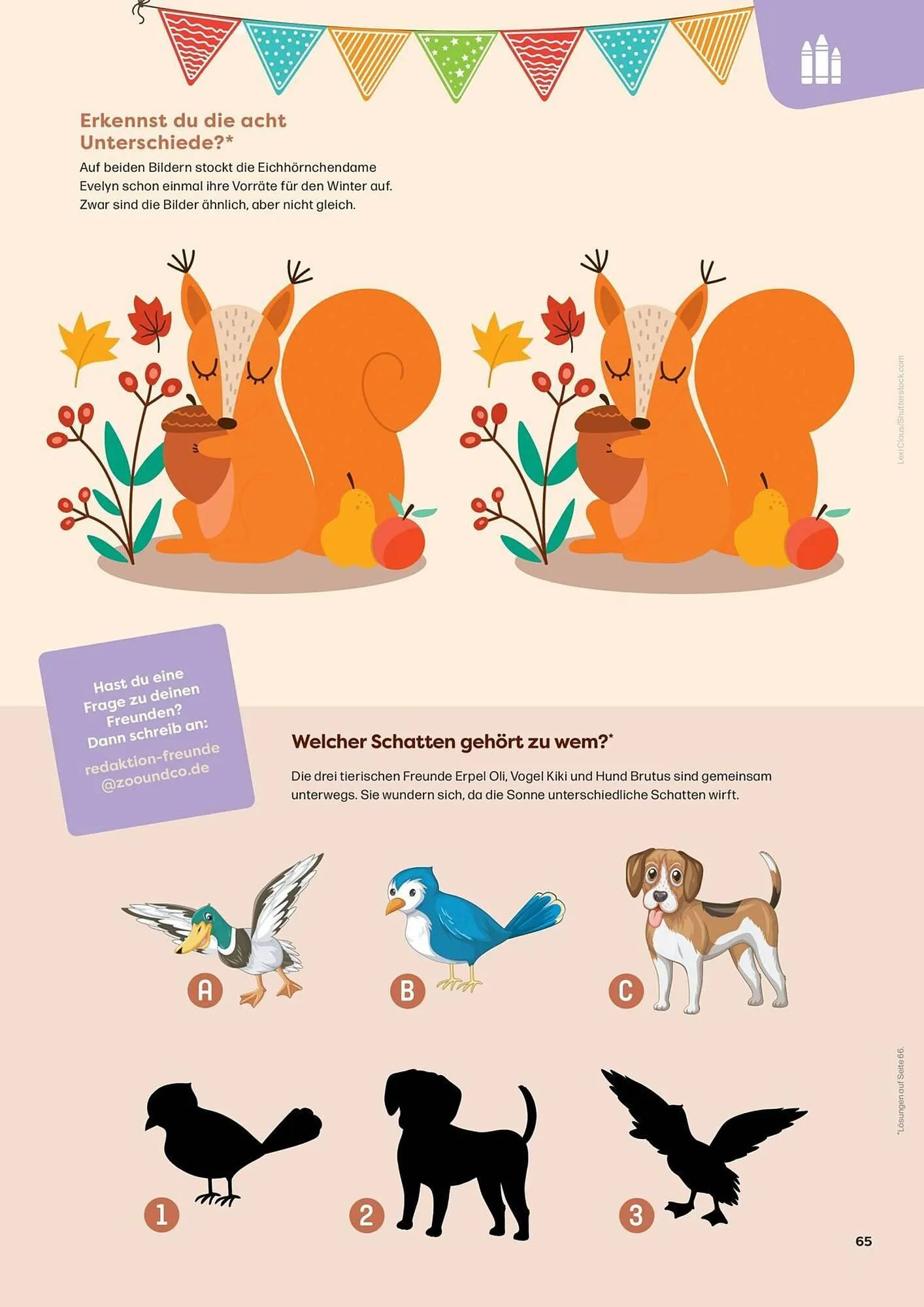 ZOO & Co Flugblatt von 30. August bis 8. November 2024 - Flugblätt seite 65