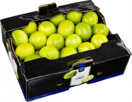 Limetten frisch Brasilien