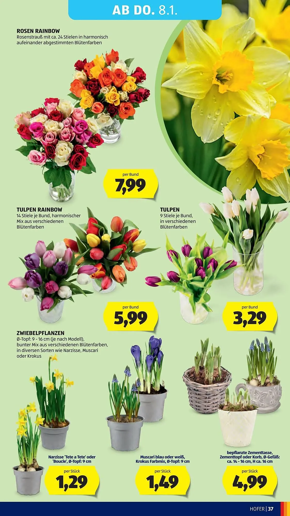 Hofer Flugblatt von 2. Jänner bis 9. Jänner 2026 - Flugblätt seite  41