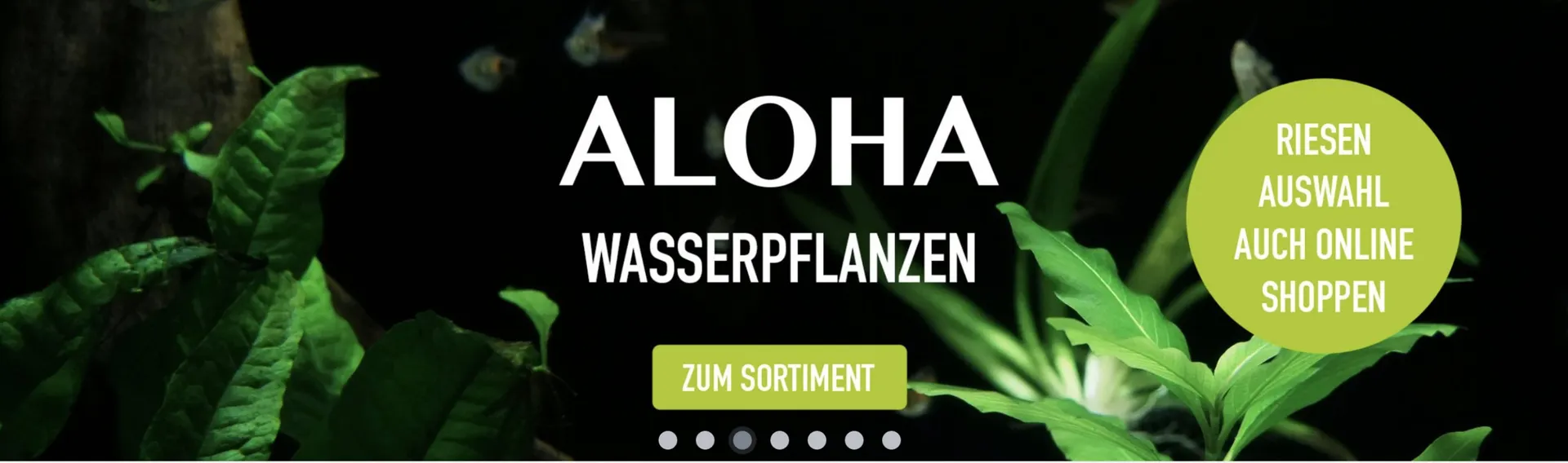 MegaZoo Flugblatt von 11. November bis 17. November 2025 - Flugblätt seite  3