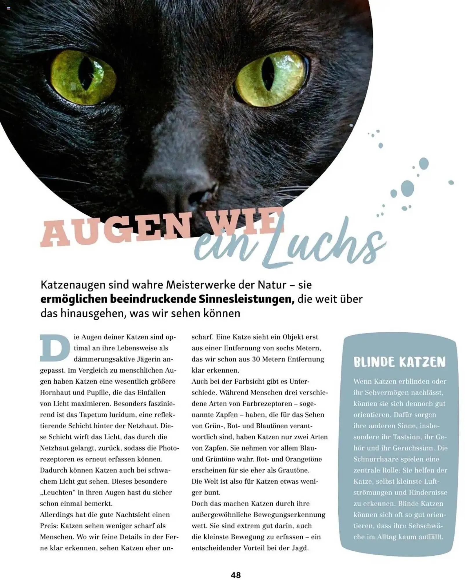 Fressnapf Flugblatt von 2. Jänner bis 2. März 2025 - Flugblätt seite 48