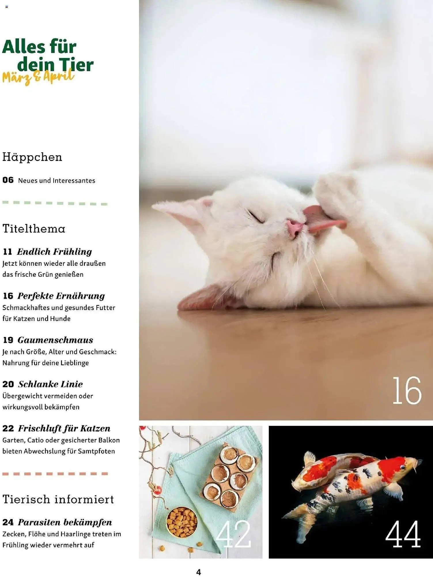 Fressnapf Flugblatt von 1. März bis 30. April 2026 - Flugblätt seite  4