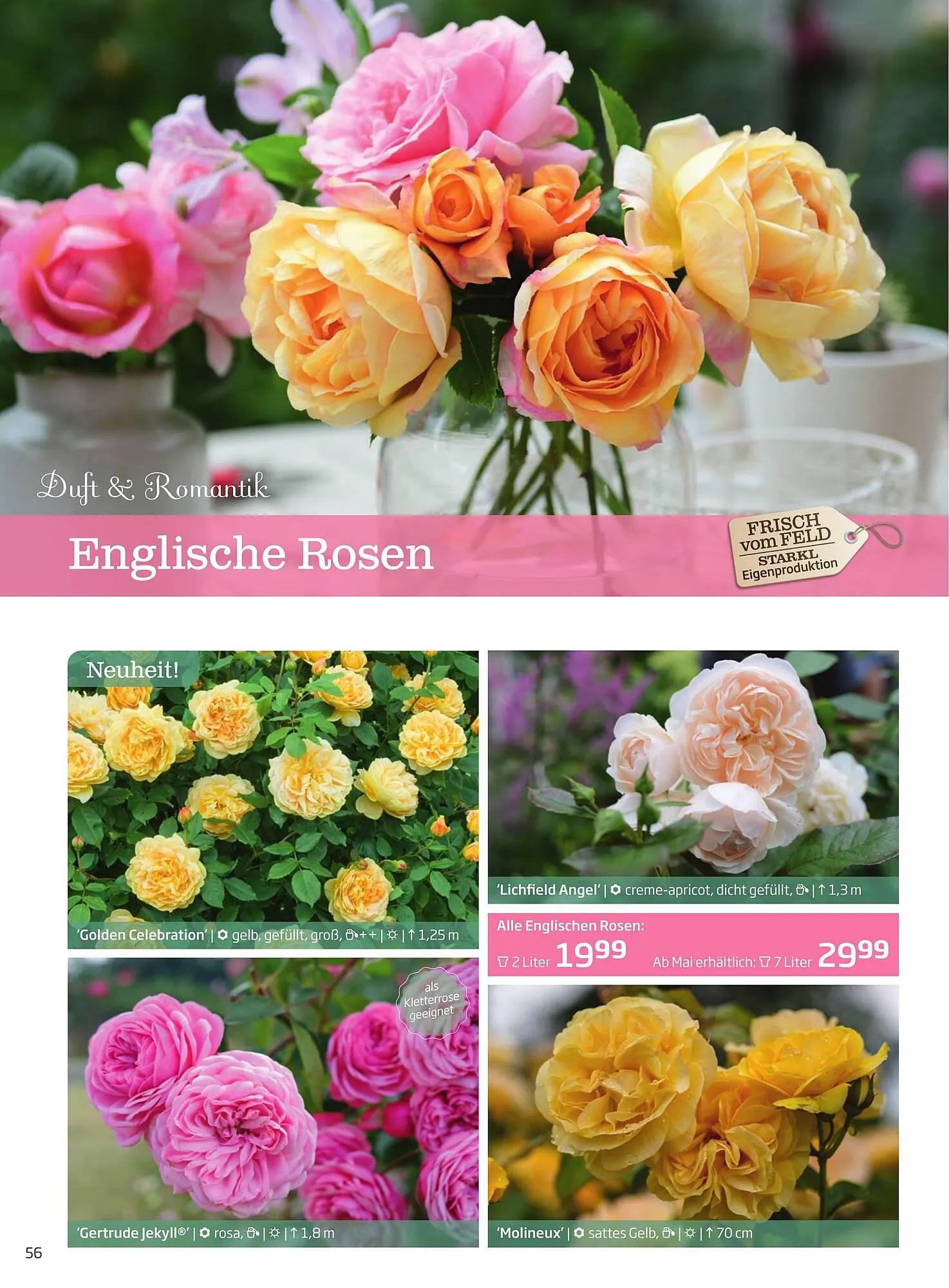 Starkl Flugblatt von 1. April bis 31. Dezember 2024 - Flugblätt seite  56