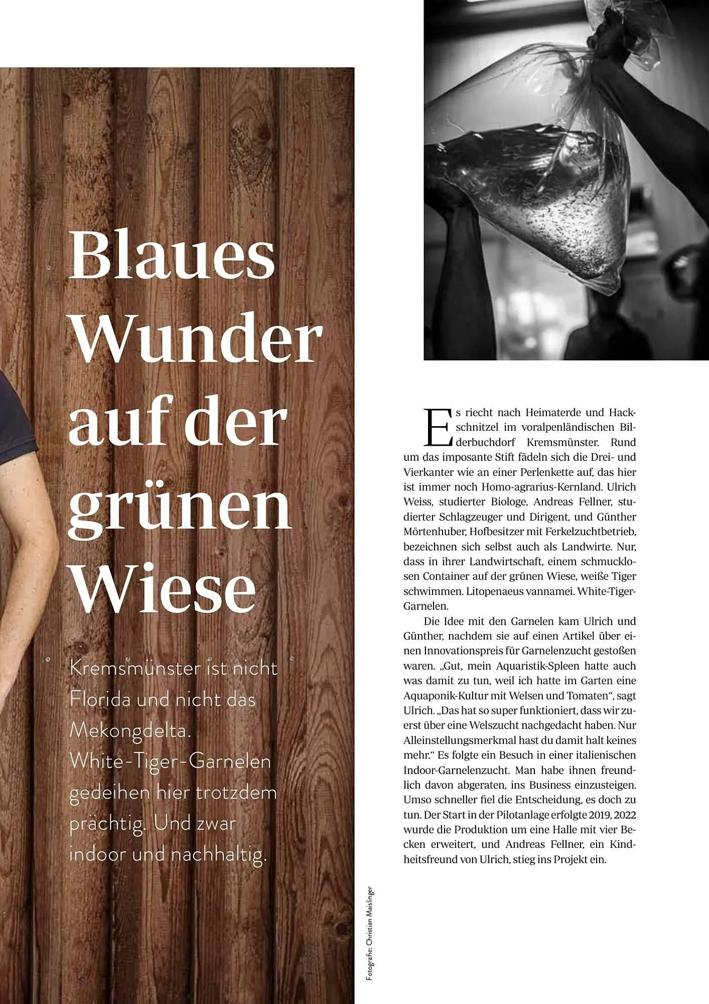 Transgourmet Flugblatt von 1. September bis 30. November 2025 - Flugblätt seite  57