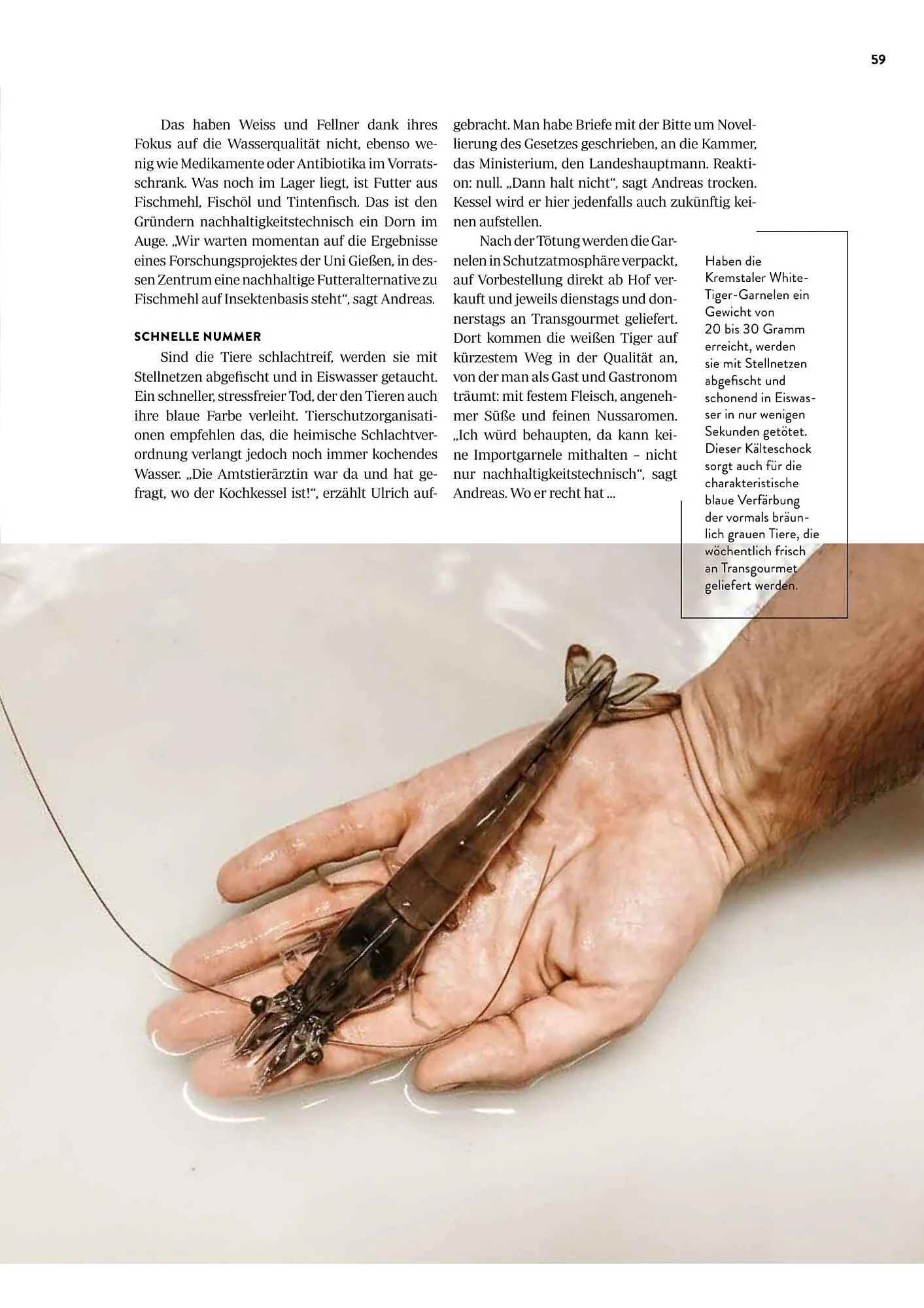 Transgourmet Flugblatt von 1. September bis 30. November 2025 - Flugblätt seite 61