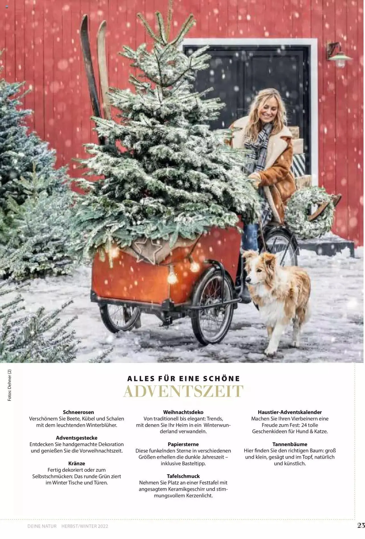 Dehner Flugblatt von 10. Oktober bis 31. Dezember 2023 - Flugblätt seite 23