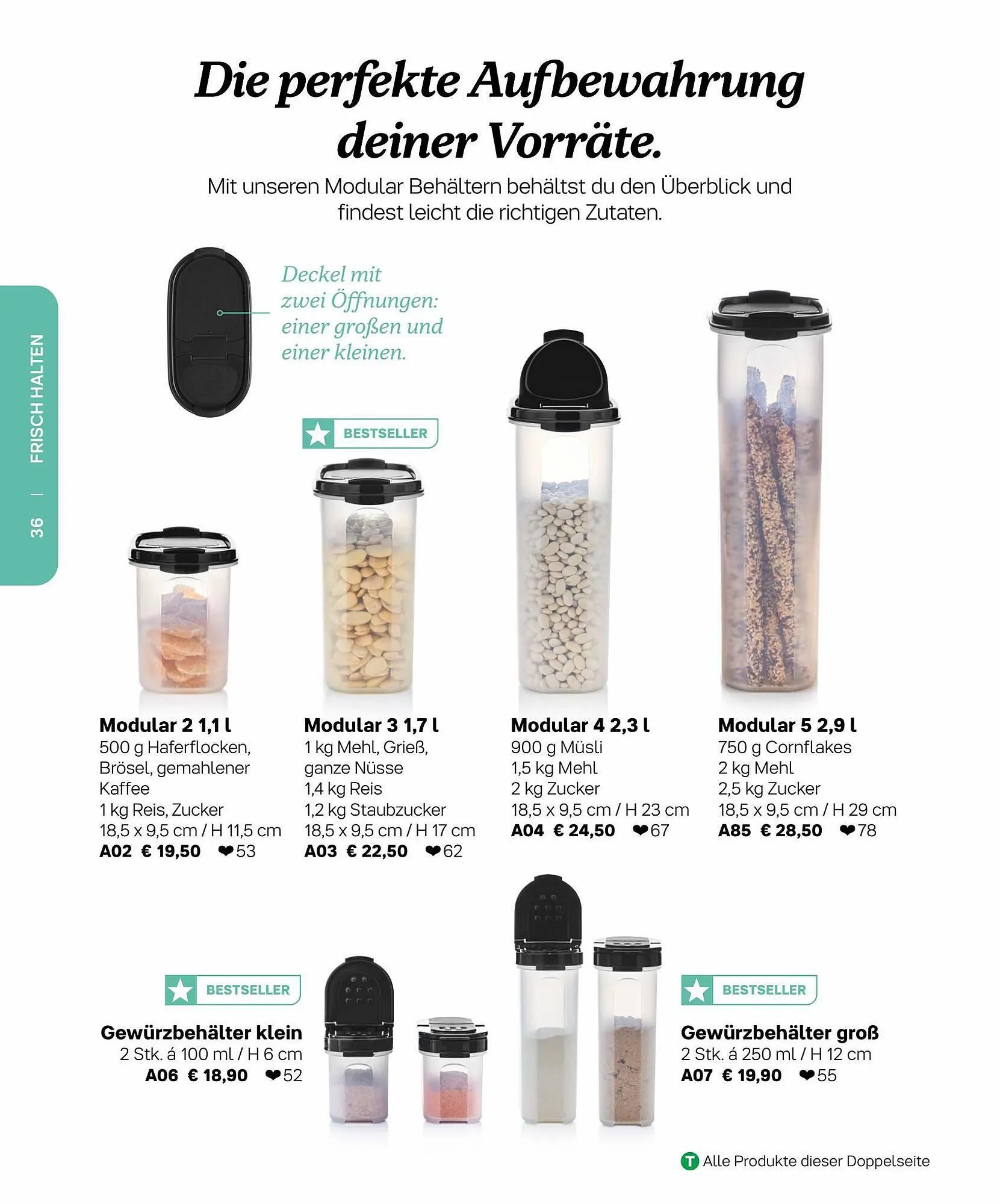 Tupperware Flugblatt von 6. März bis 31. August 2023 - Flugblätt seite 36