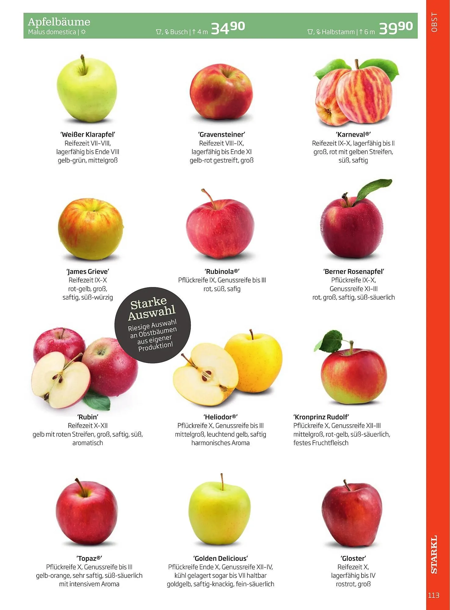 Starkl Flugblatt von 6. Juni bis 31. Dezember 2025 - Flugblätt seite 113