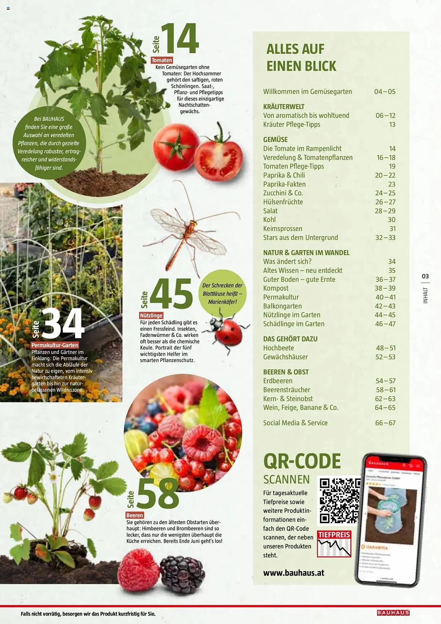 Bauhaus Flugblatt von 1. Juli bis 6. März 2026 - Flugblätt seite 3