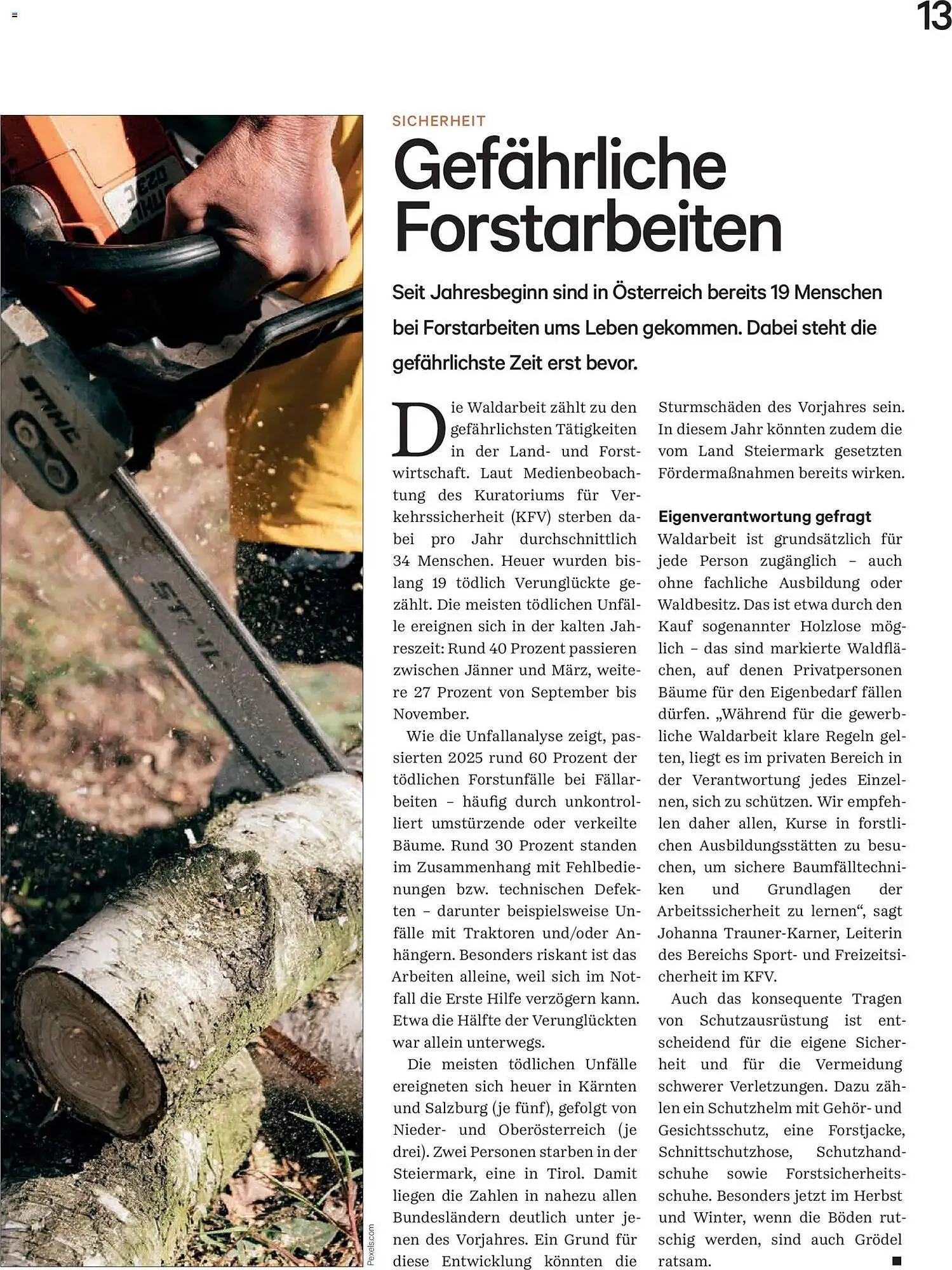 Lagerhaus Flugblatt von 1. Dezember bis 31. Dezember 2025 - Flugblätt seite  13