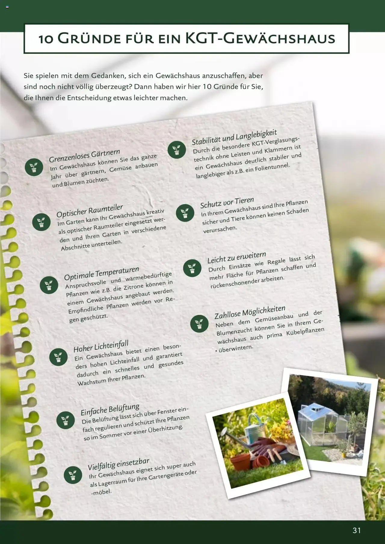 Dehner - KGT Katalog - Gartentechnik & Co. von 6. Februar bis 31. Dezember 2023 - Flugblätt seite  31