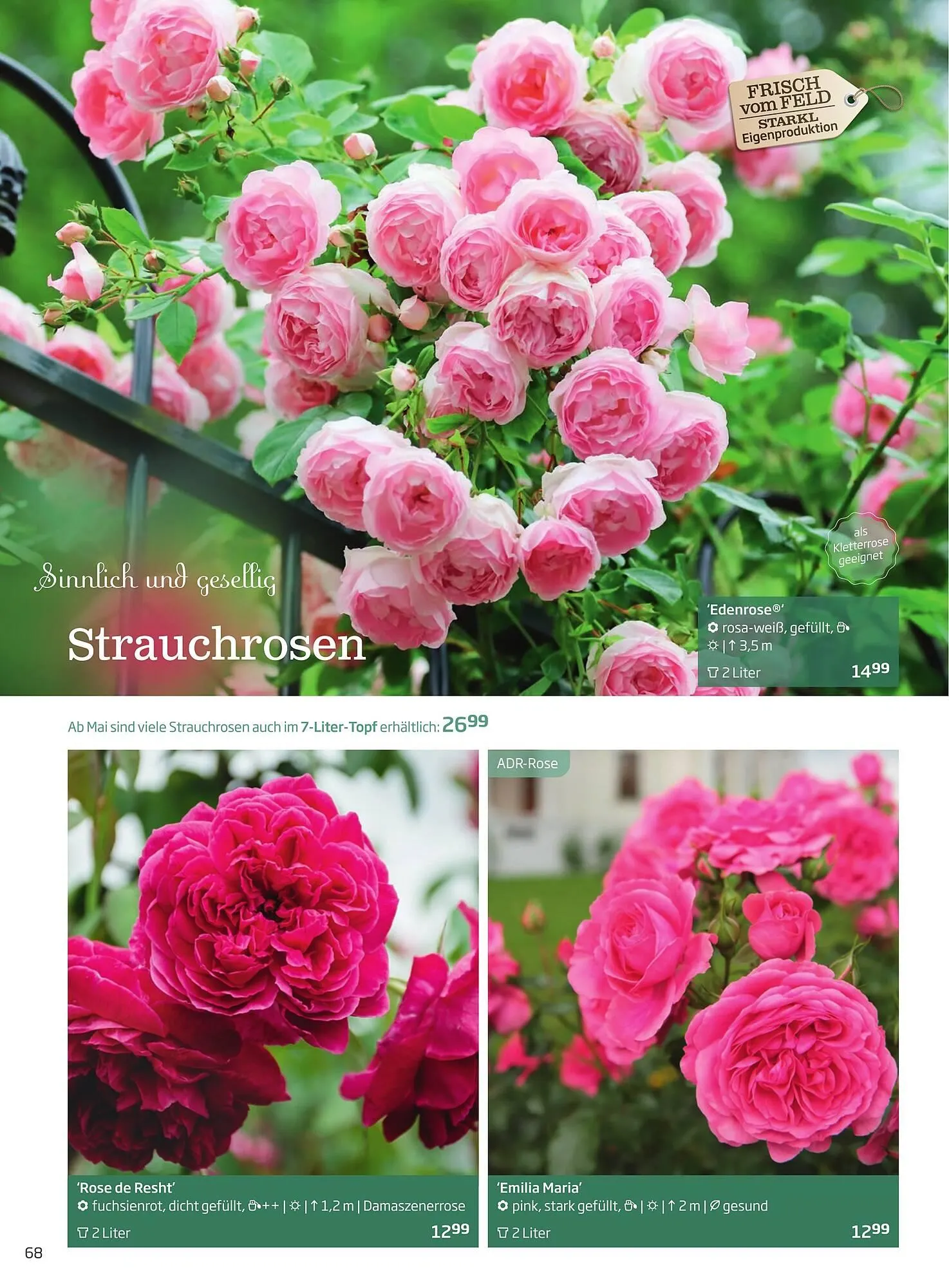 Starkl Flugblatt von 6. Juni bis 31. Dezember 2025 - Flugblätt seite  68