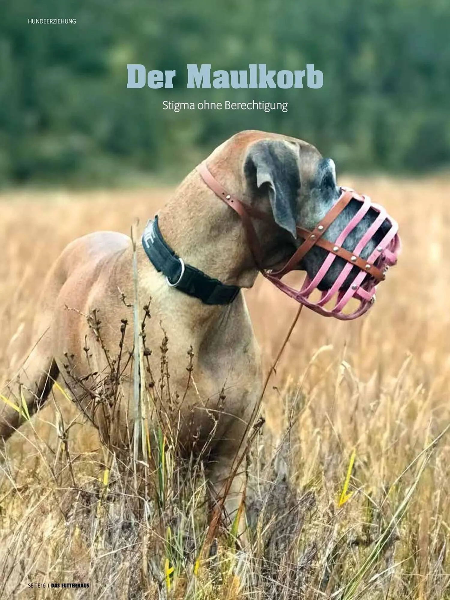 Das Futterhaus Flugblatt von 1. August bis 3. Oktober 2024 - Flugblätt seite  16