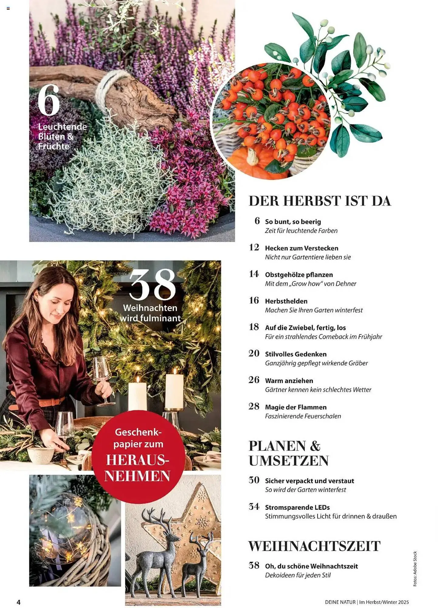 Dehner Flugblatt von 10. Oktober bis 30. November 2025 - Flugblätt seite  4