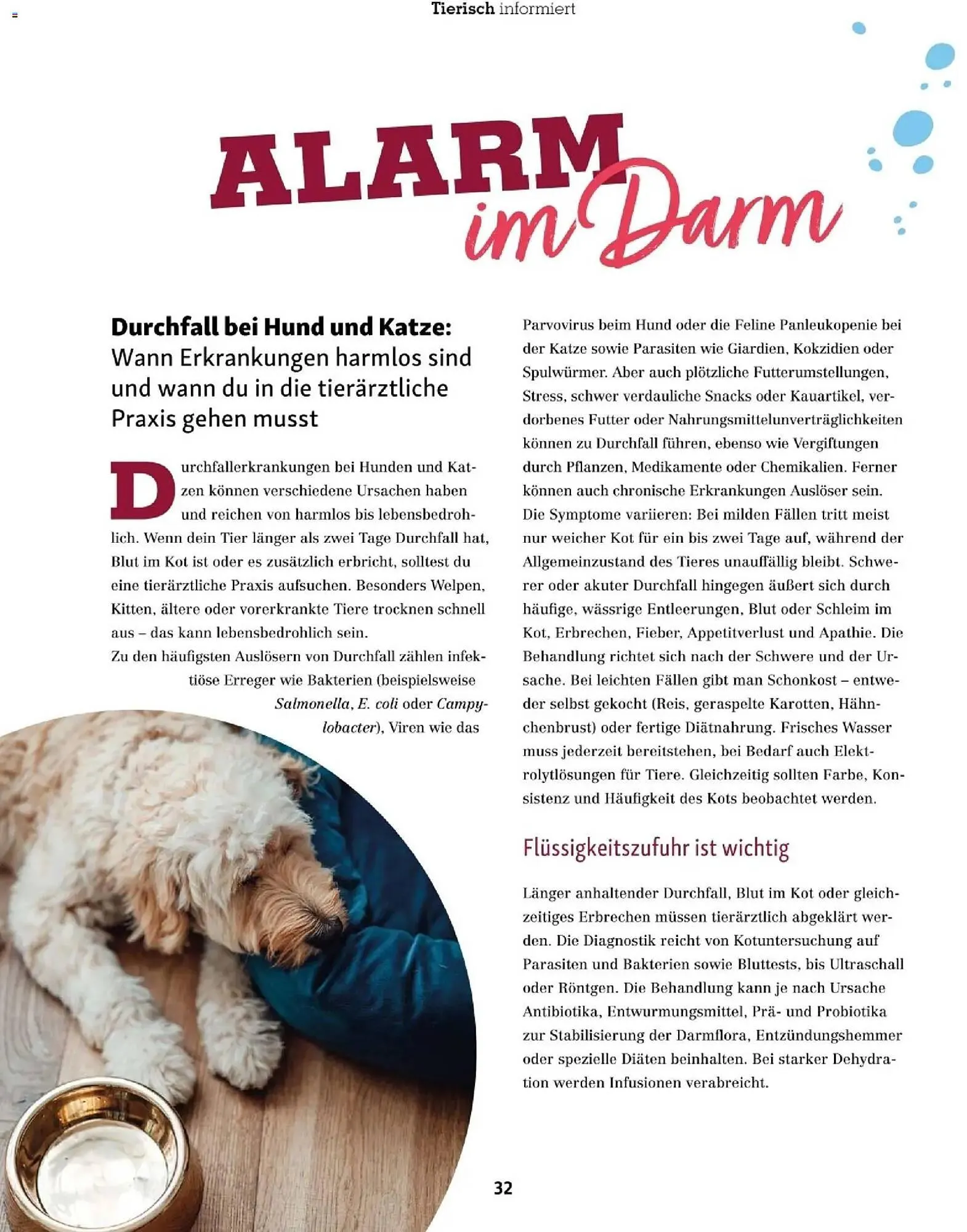 Fressnapf Flugblatt von 1. November bis 31. Dezember 2025 - Flugblätt seite  32